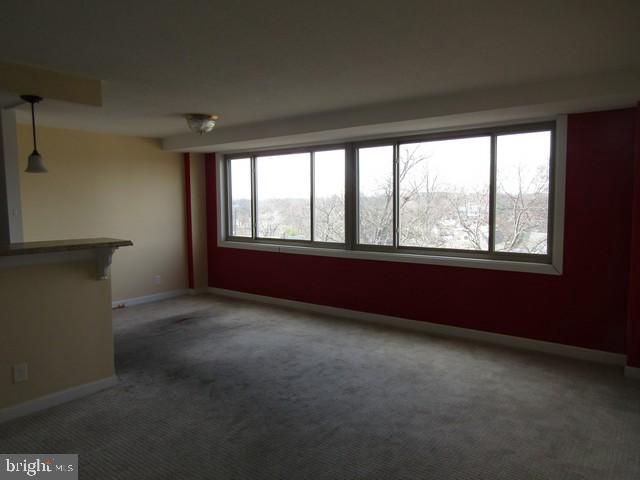 THE OGLETHORPE - Residential