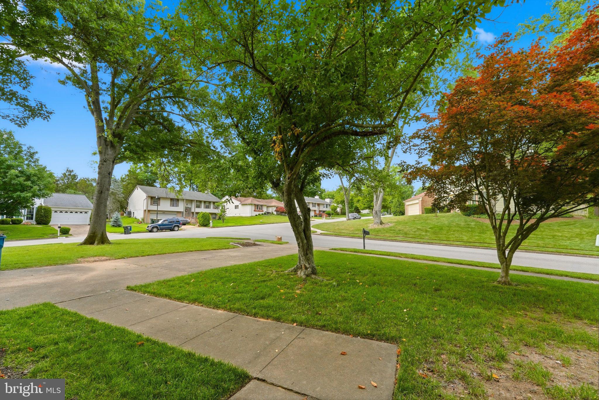 BENT TREE - Residential