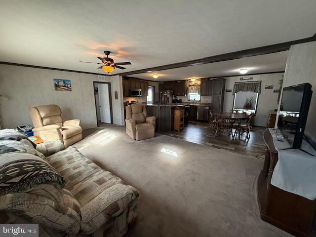 EAGLE VIEW MOBILE HOME PK - Residential