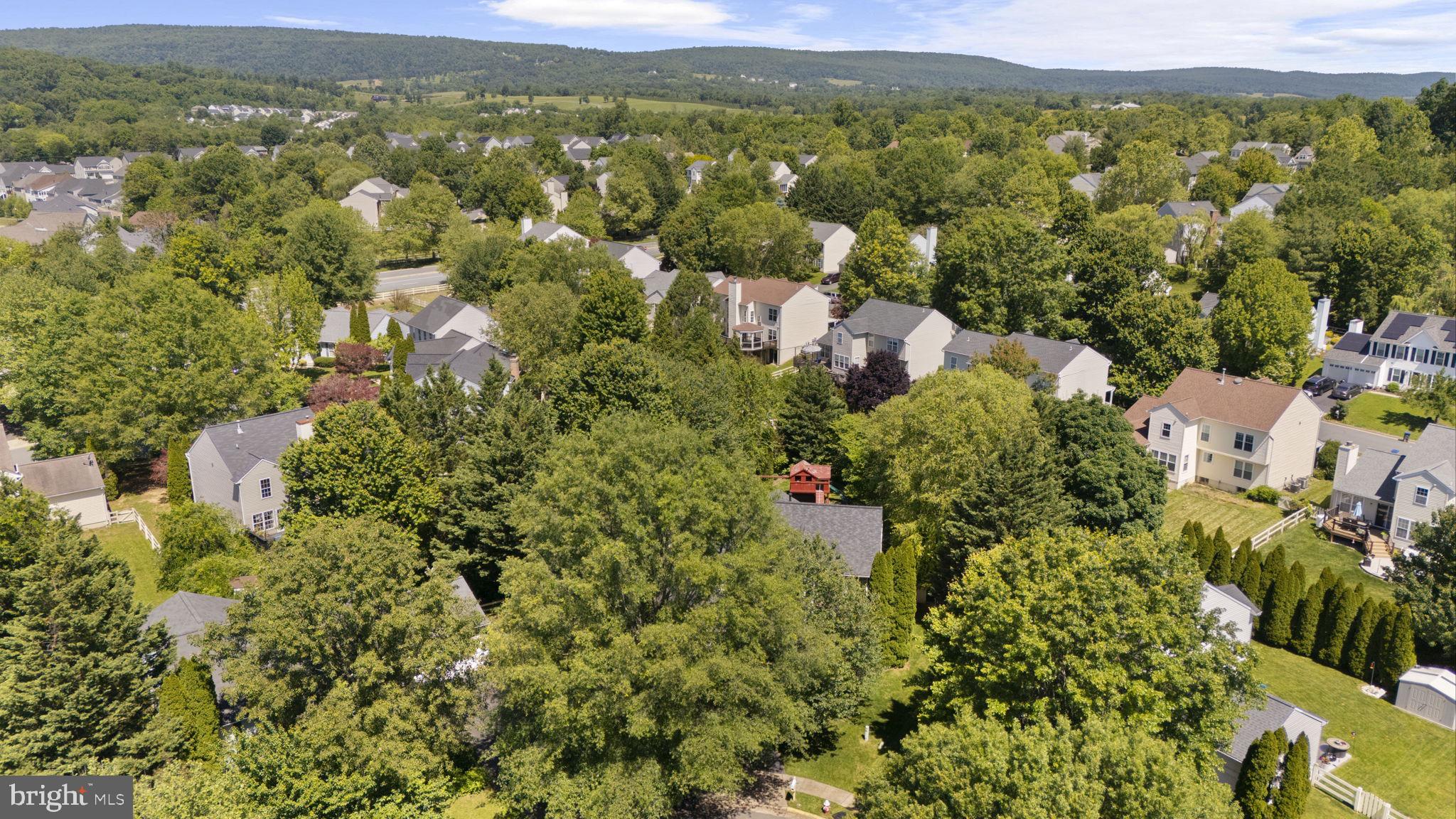 VILLAGES AT ROUND HILL - Residential