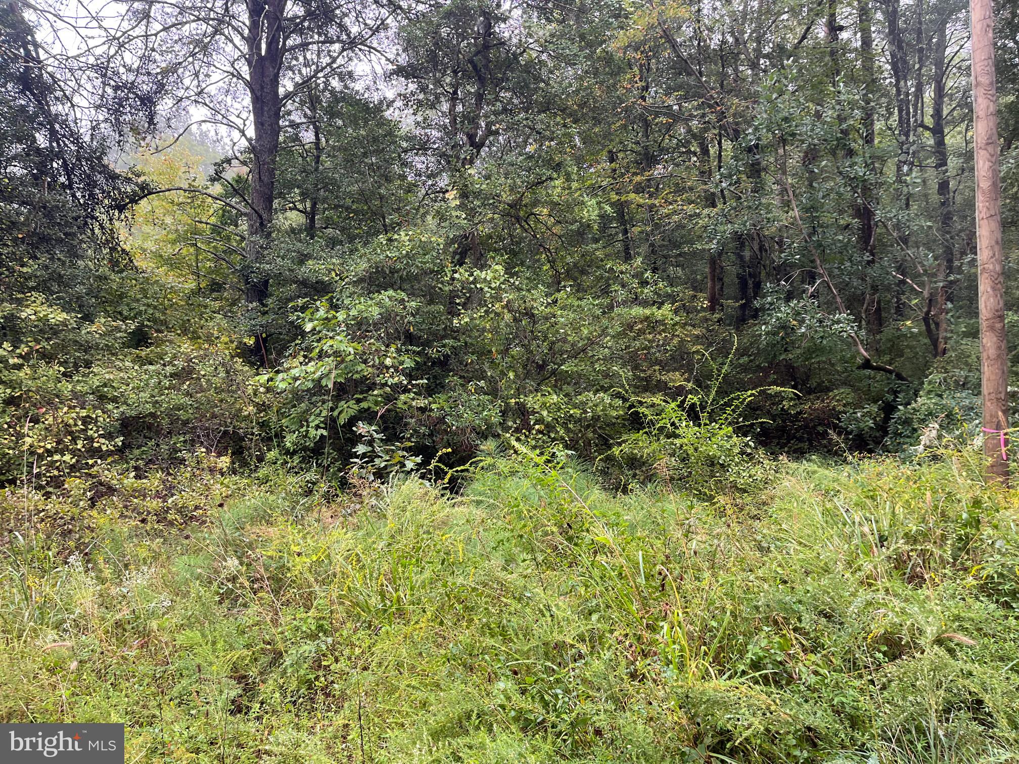 PLACID BAY ESTATES: Wooded building lot on Chrystal Road in fast-growing Placid Bay Estates.  Public water and public sewer are available.  Utility Tap Fees have not been paid--contact Westmoreland County for information on sewer tap.  Placid Bay Estates is a water-oriented and golf-cart friendly development with community spaces, boat ramp, pavilion and clubhouse available to members of the Placid Bay Estates Civic Association. Just a short drive to shopping, restaurants and attractions in Colonial Beach and less than 90 minutes from the DC metro area.