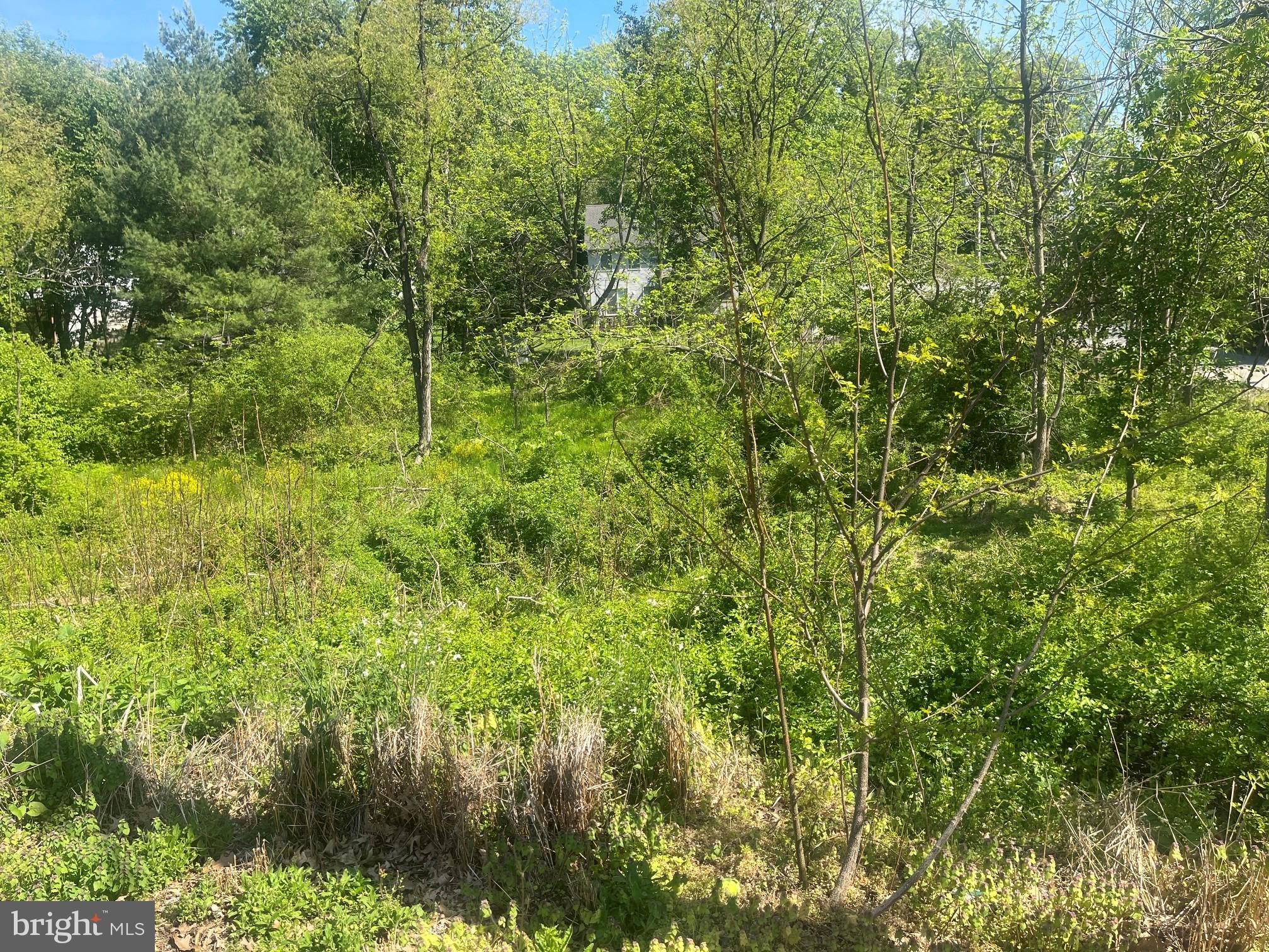 ICE HOUSE ESTATES - Residential