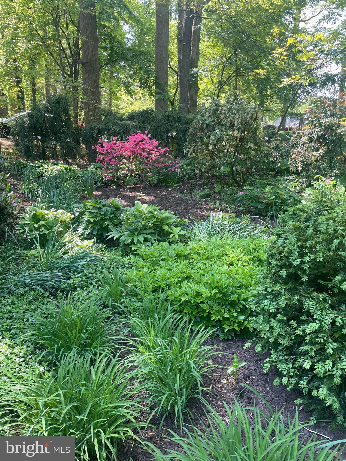 LONGFELLOW - Residential