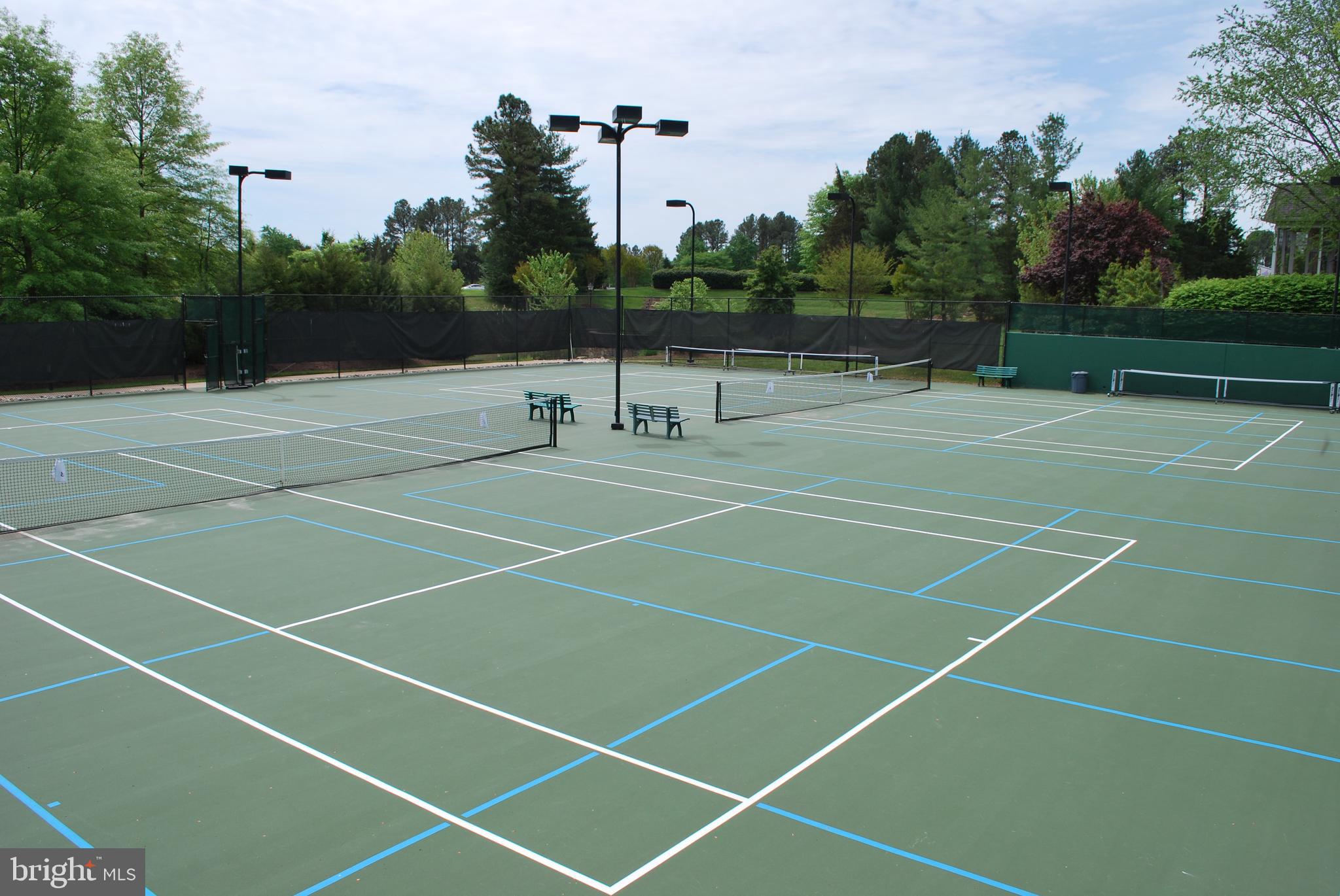 REGENCY AT DOMINION VALLEY - Residential