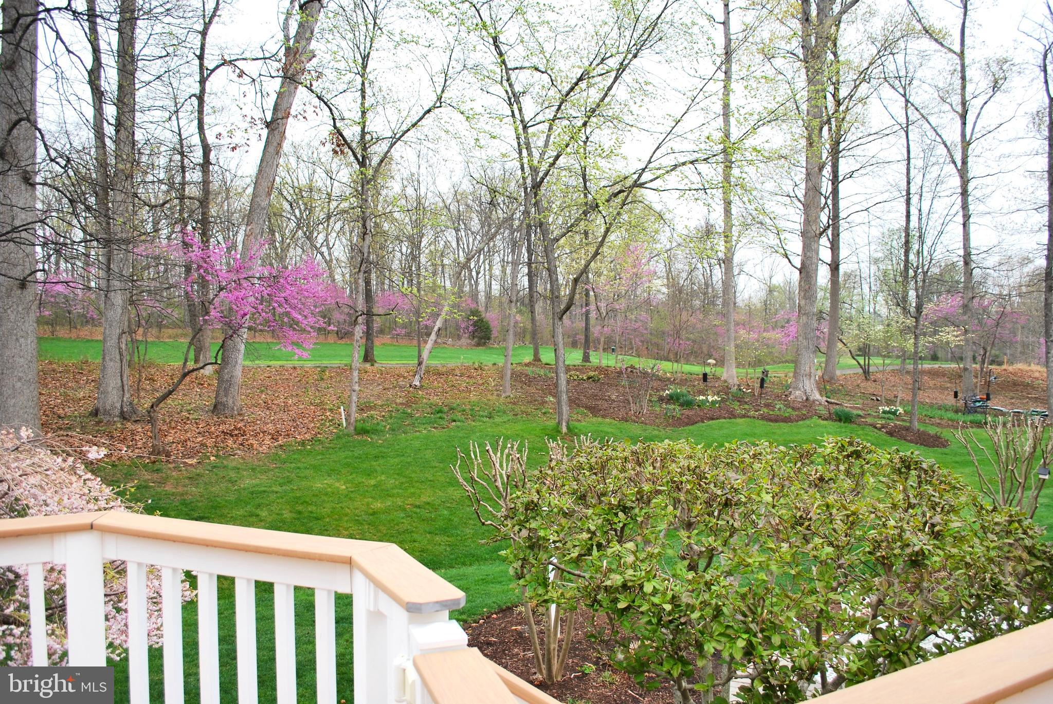 REGENCY AT DOMINION VALLEY - Residential