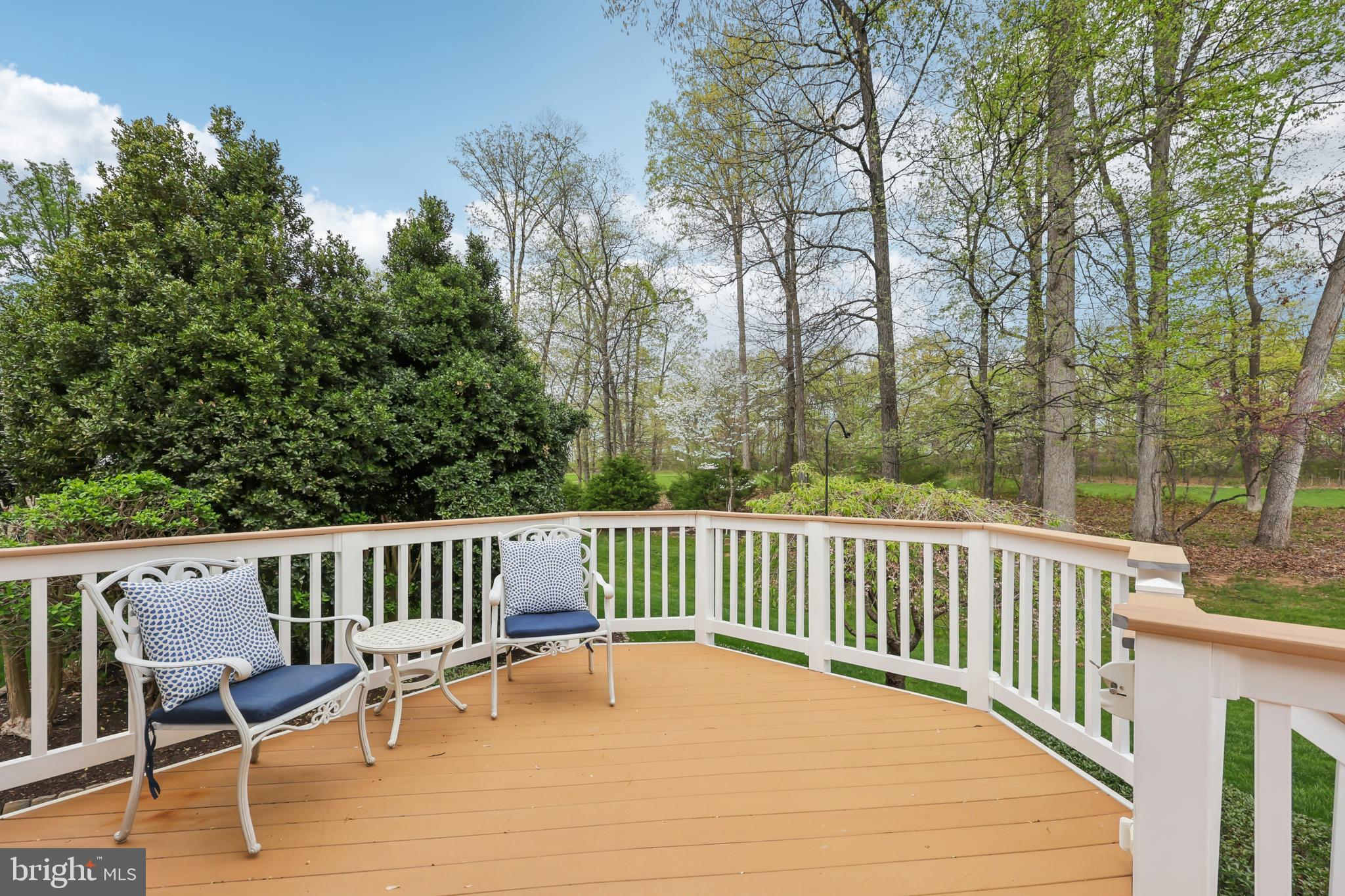 REGENCY AT DOMINION VALLEY - Residential