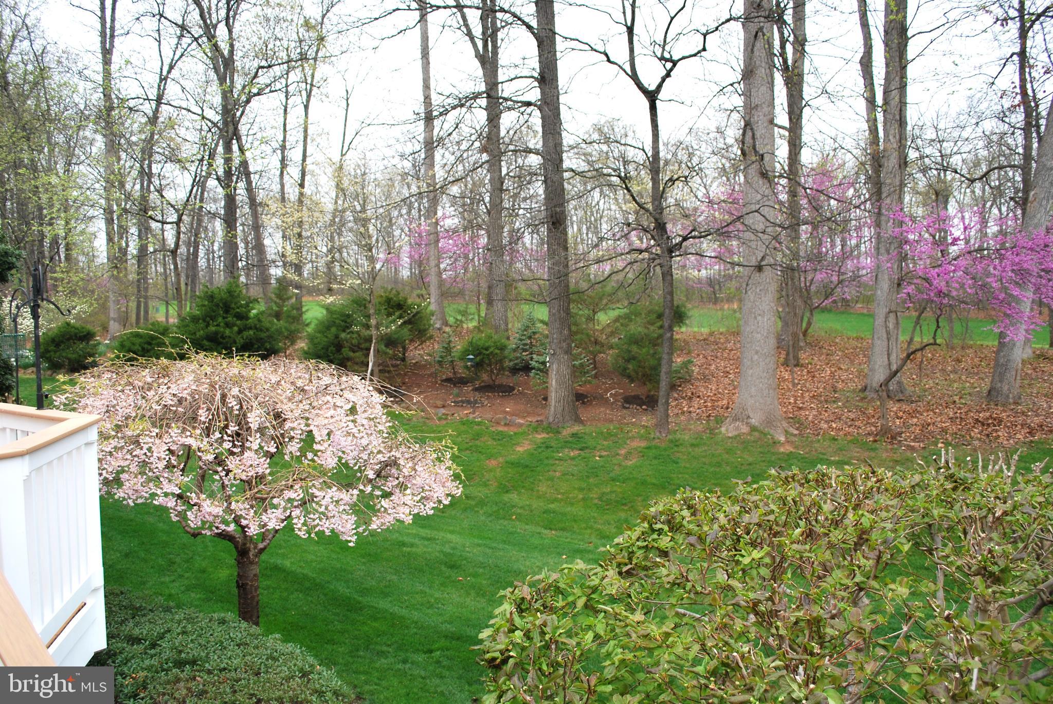 REGENCY AT DOMINION VALLEY - Residential