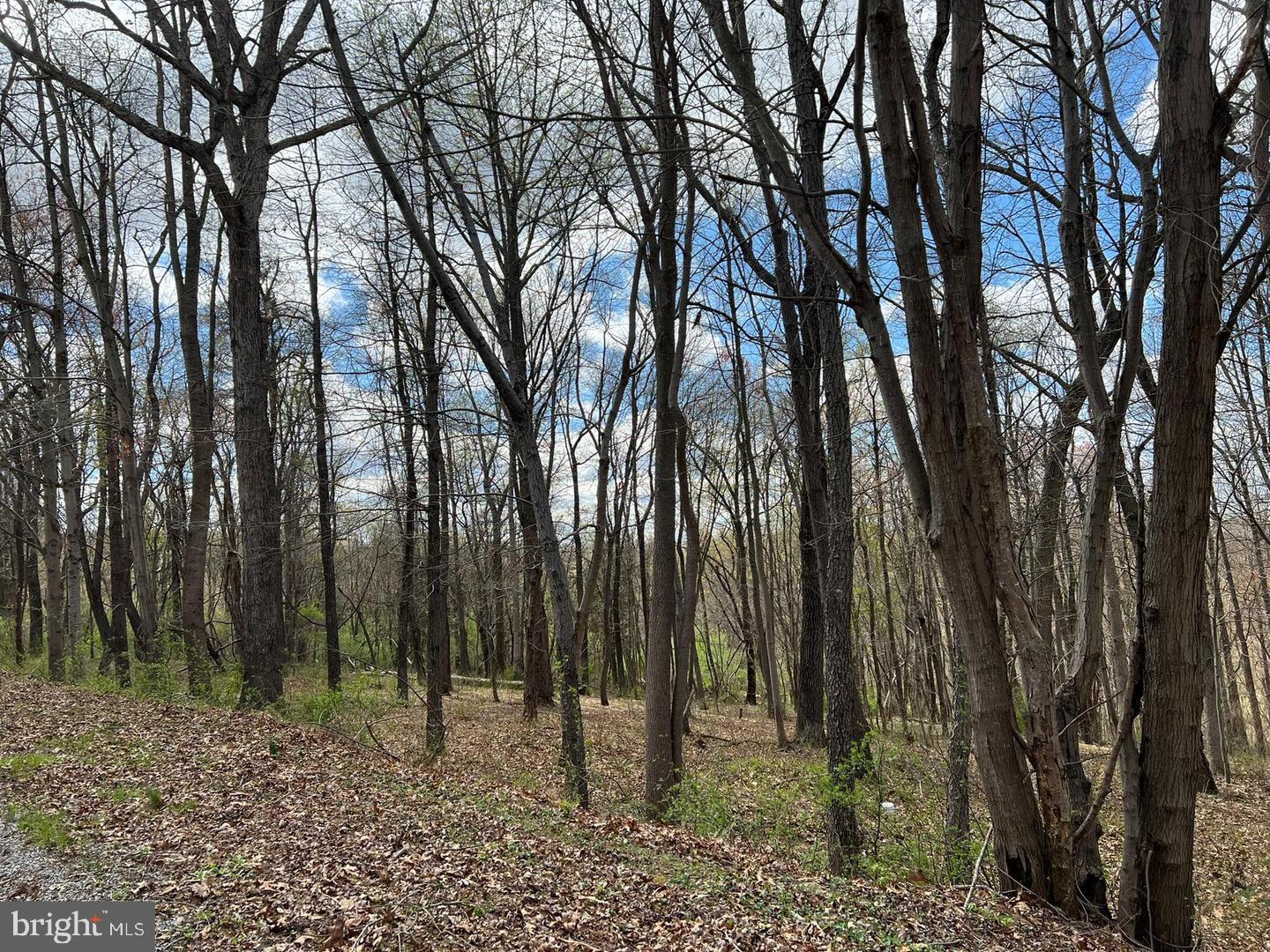 Beautiful wooded lot in Plantation Estates in Fawn Grove. There is a well on site. Property approved for standard trench septic system.