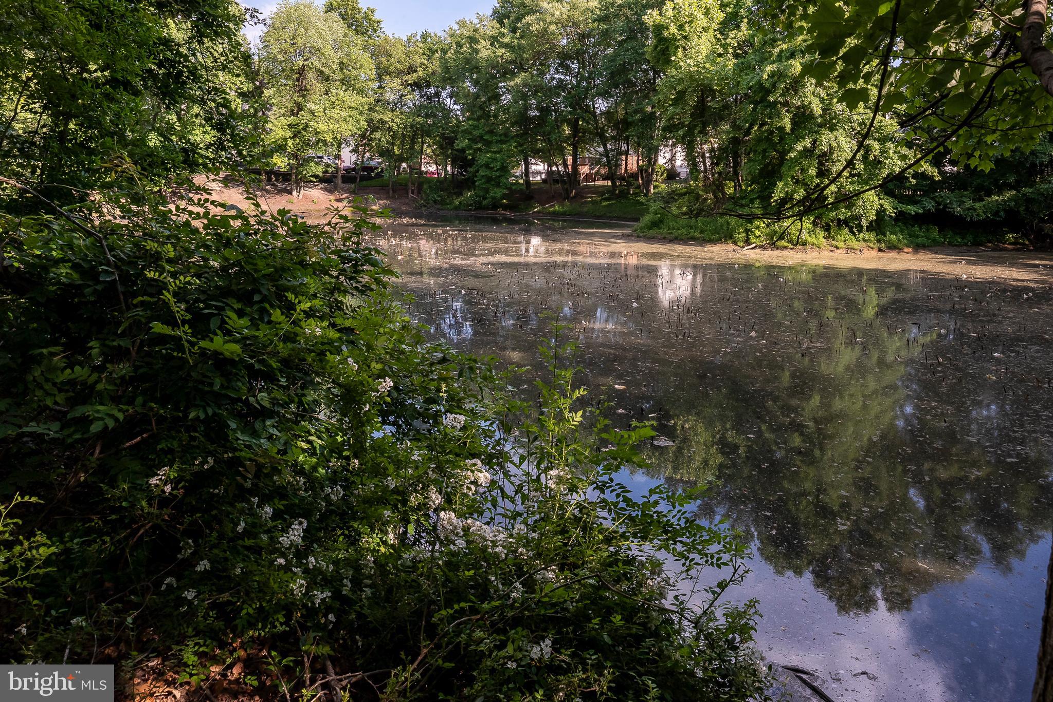 CROFTON FARMS - Residential