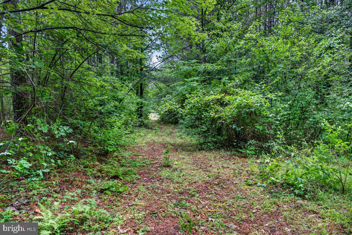 FISCHER TRACT - Land