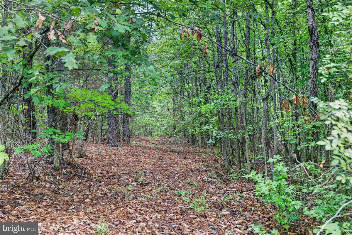FISCHER TRACT - Land