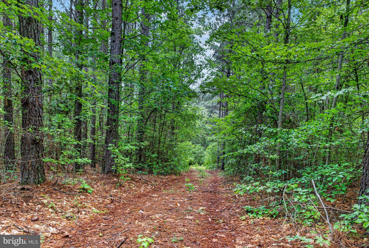 FISCHER TRACT - Land