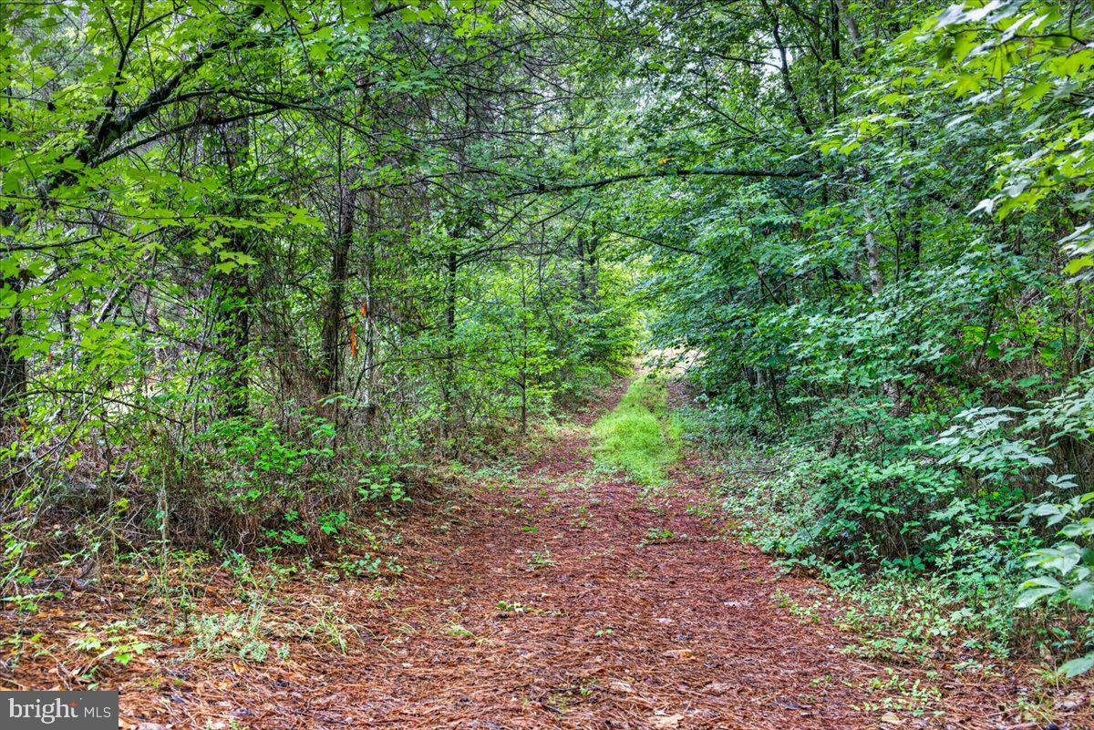 FISCHER TRACT - Land