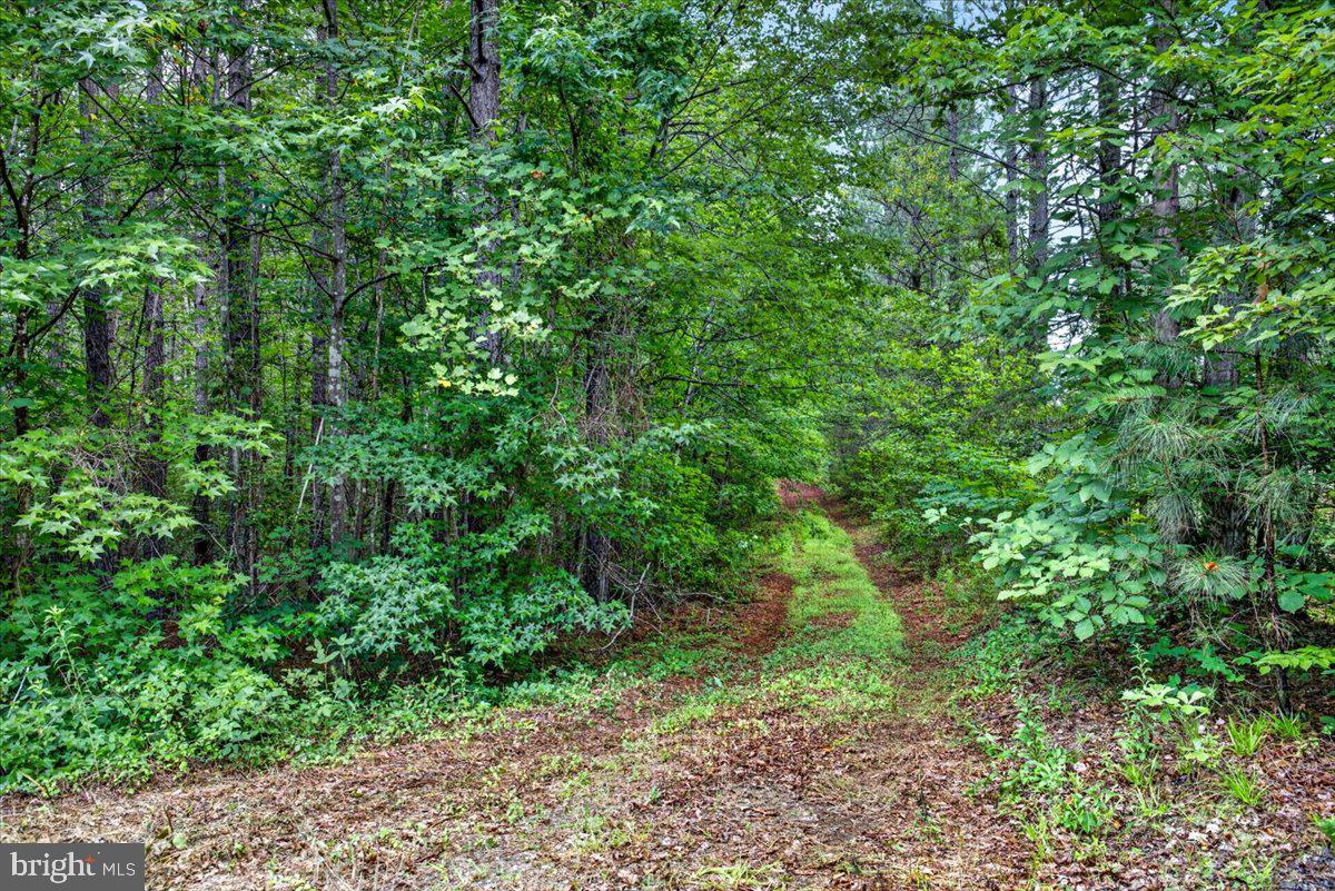 FISCHER TRACT - Land