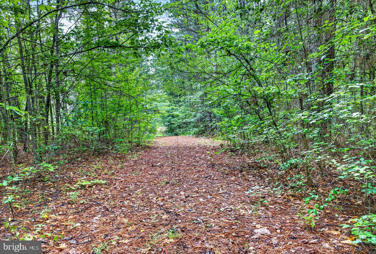 FISCHER TRACT - Land