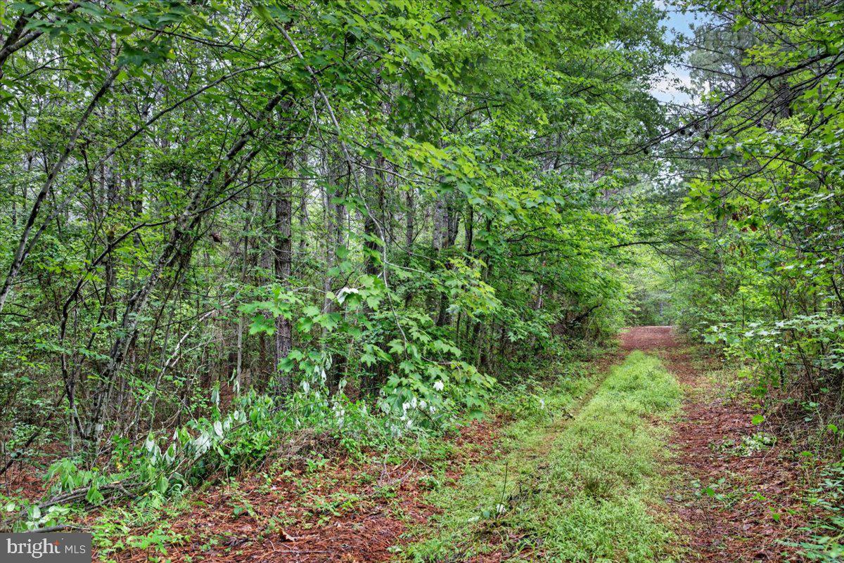 FISCHER TRACT - Land