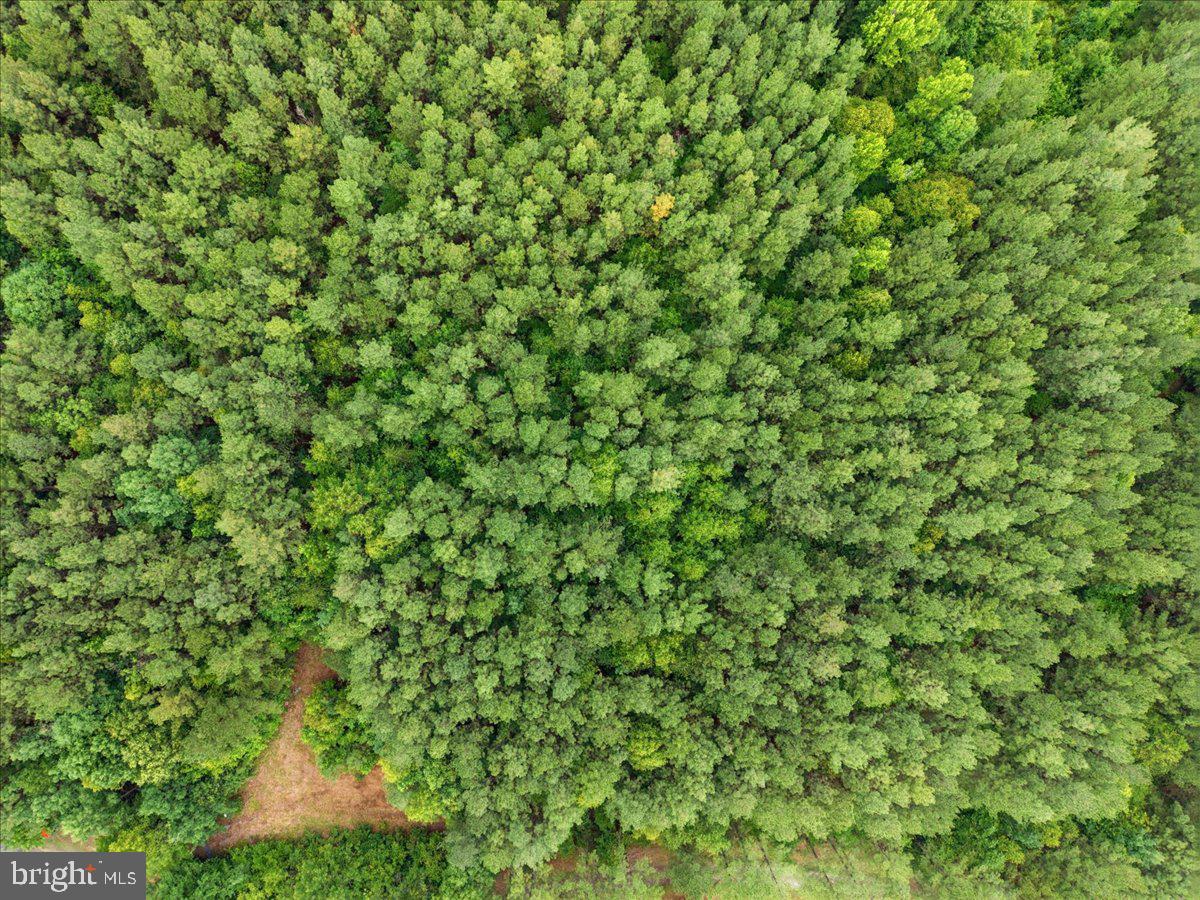 FISCHER TRACT - Land