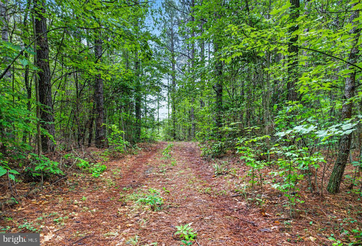 FISCHER TRACT - Land