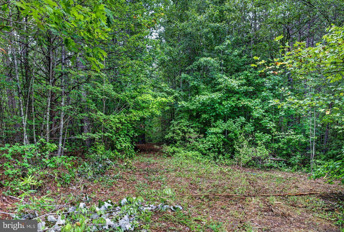 FISCHER TRACT - Land