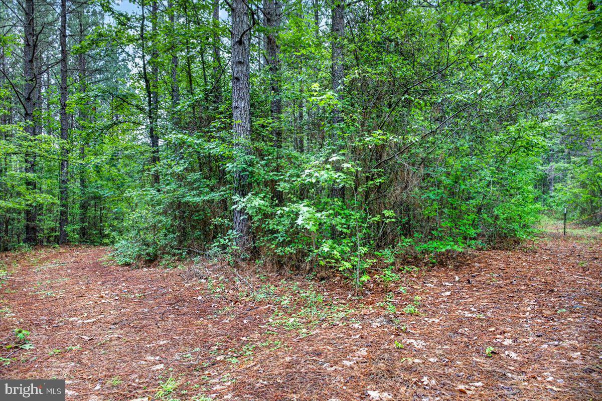 FISCHER TRACT - Land