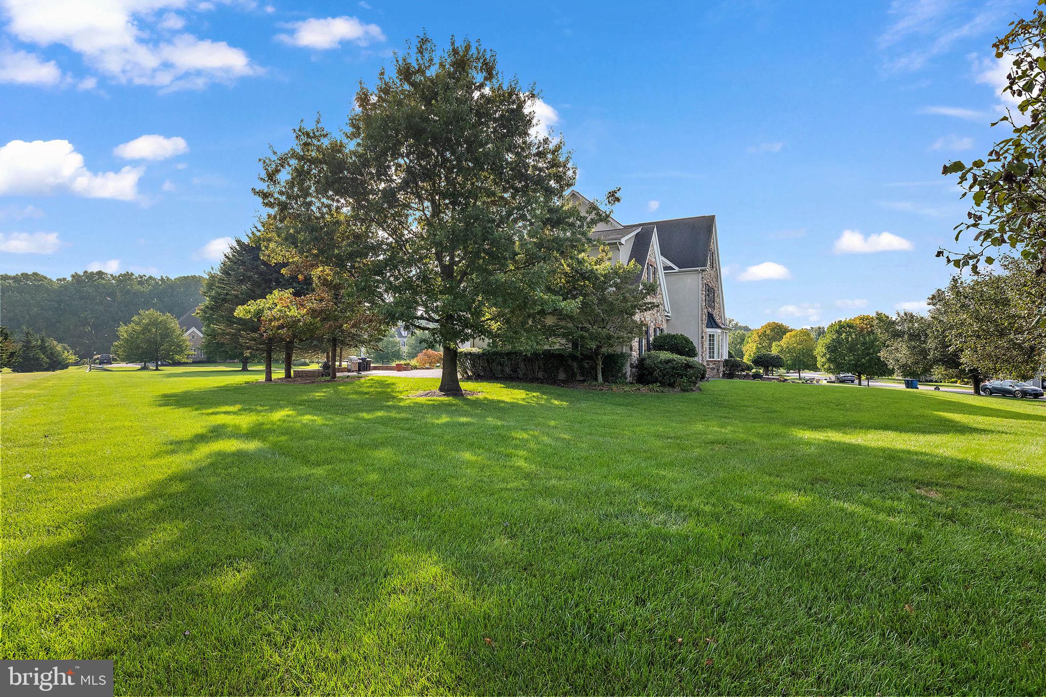 FLINT HILL CROSSING - Residential