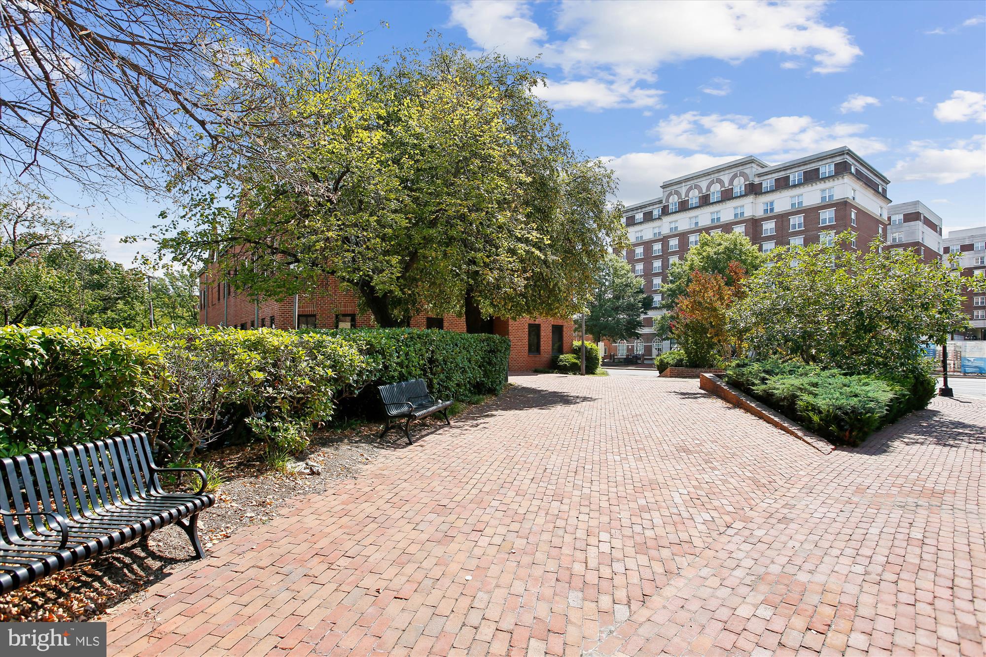 OLD TOWN ALEXANDRIA - Commercial Sale