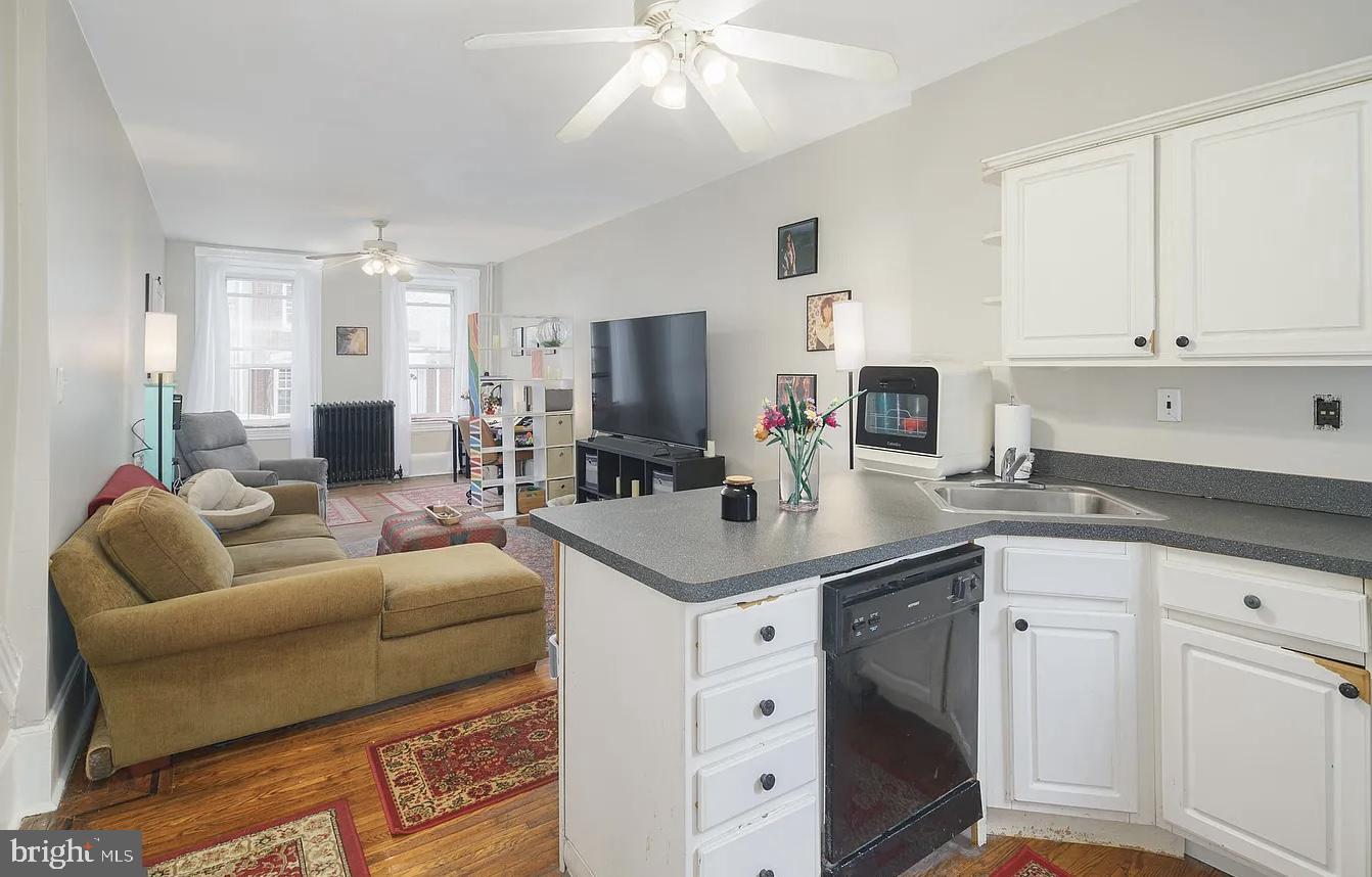 MANAYUNK - Residential Income