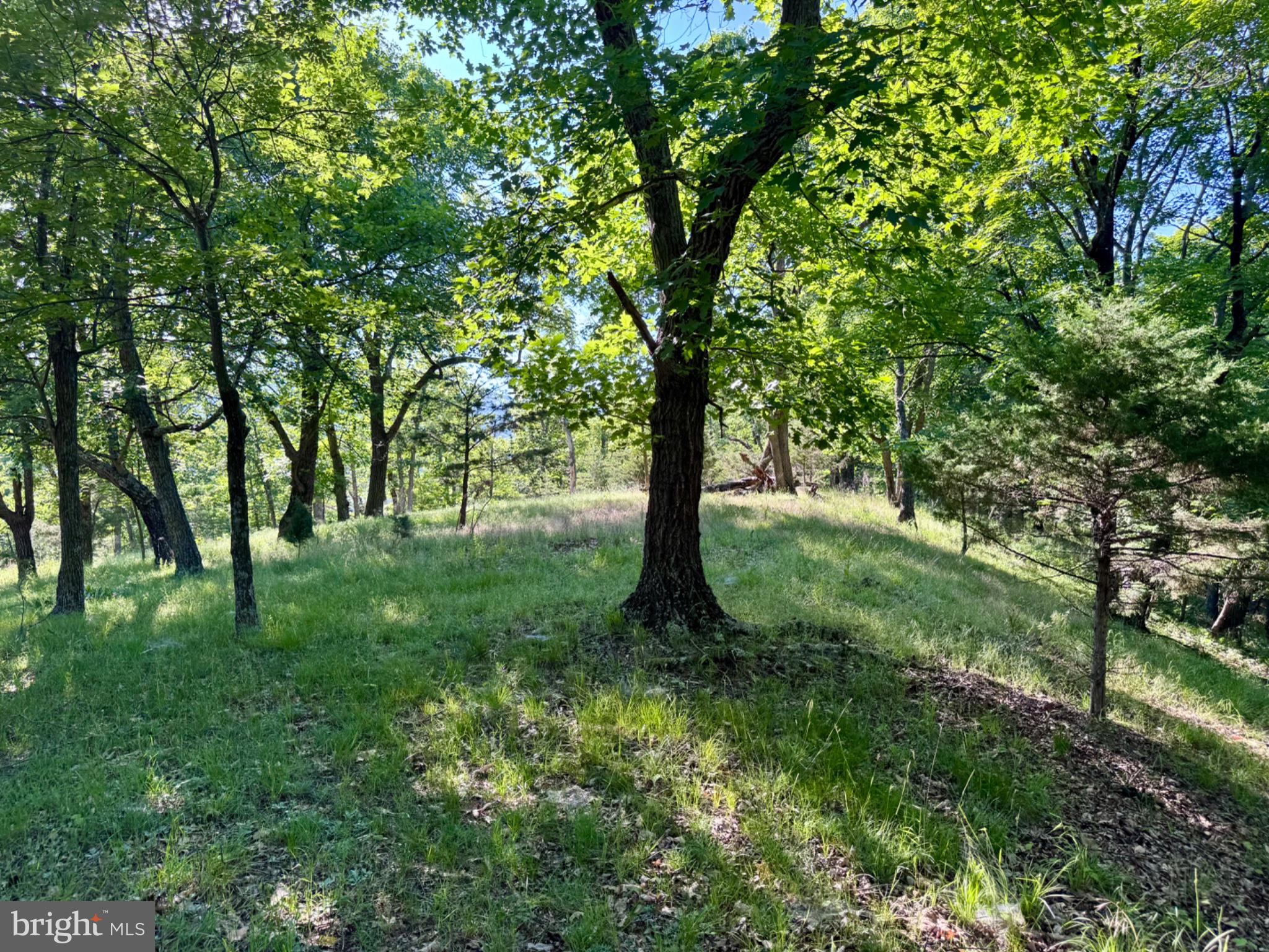 Discover a rare opportunity to own a slice of paradise, perfectly situated amidst breathtaking mountainous terrain. This private, unrestricted lot boasts a harmonious blend of natural beauty and adventure, making it an ideal canvas for your dream retreat or investment. Imagine waking up to surrounded by lush trees and the majestic backdrop of towering mountains. The sloping landscape not only enhances the picturesque views but also provides a unique opportunity for creative landscaping or building your ideal home with panoramic vistas. This lot is a haven for outdoor enthusiasts. Whether you're an avid hunter or simply enjoy exploring nature, the abundant wildlife and wooded surroundings invite endless adventures right at your doorstep. The tranquility of this location offers a perfect escape from the hustle and bustle of everyday life, allowing you to reconnect with nature and recharge your spirit. This property is not just land; it's a lifestyle waiting to be embraced. Envision evenings spent under the stars, surrounded by the sounds of nature, and days filled with exploration and relaxation. Don't miss your chance to secure this exceptional piece of land that promises both privacy and the beauty of the great outdoors. Your dream awaits!