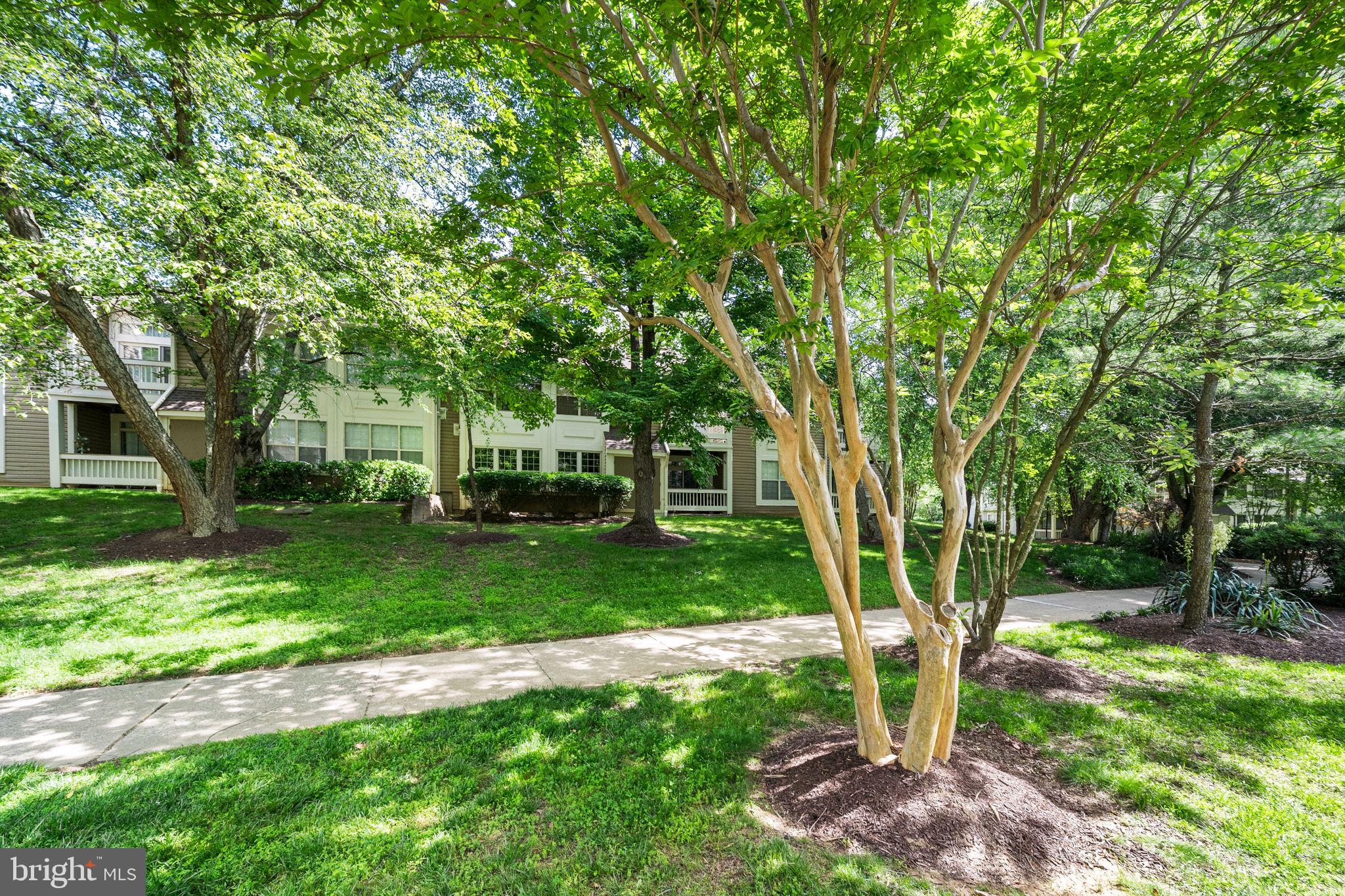 BENTLEY PLACE - Residential
