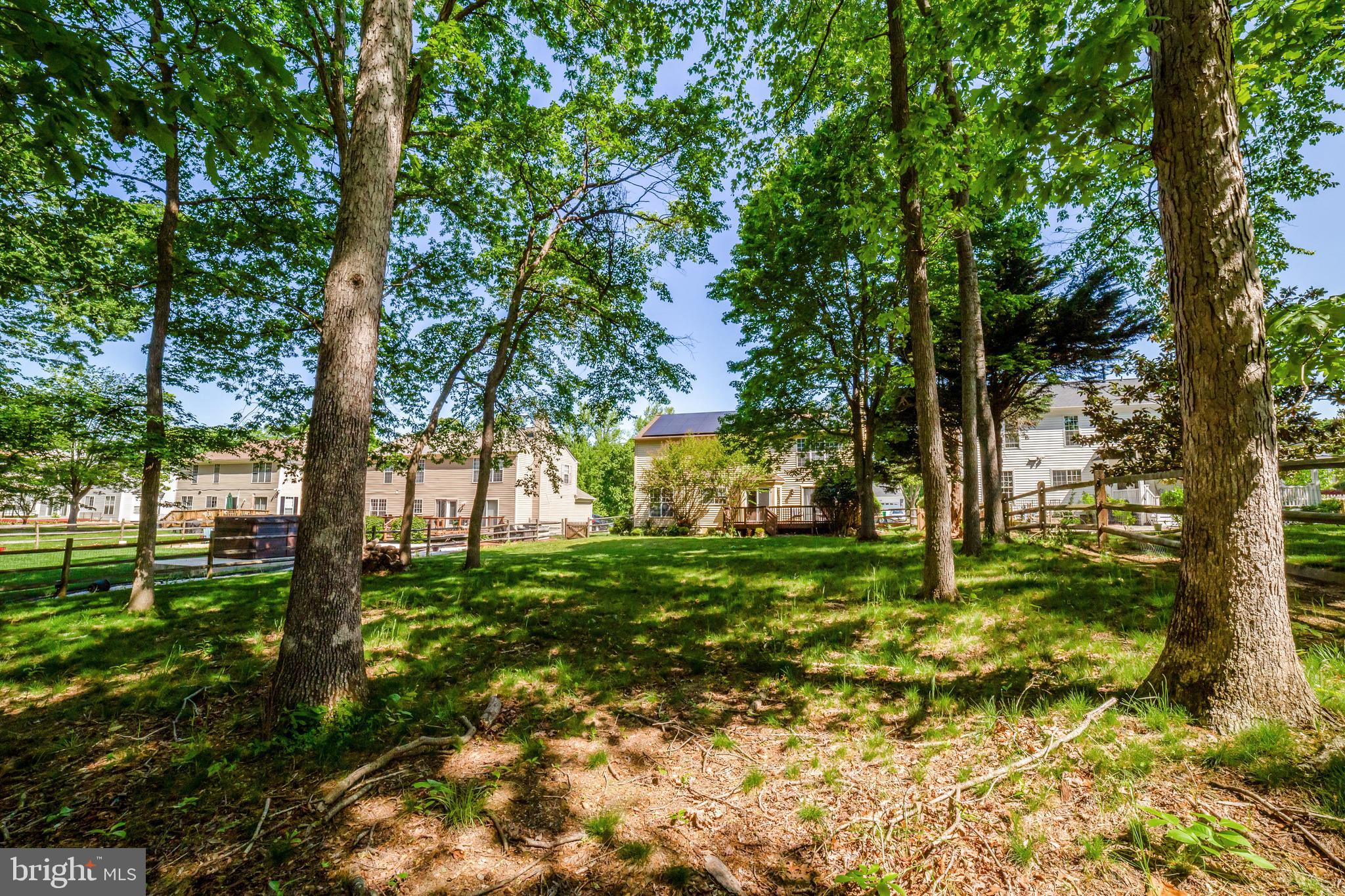 WHITE HALL FOREST - Residential