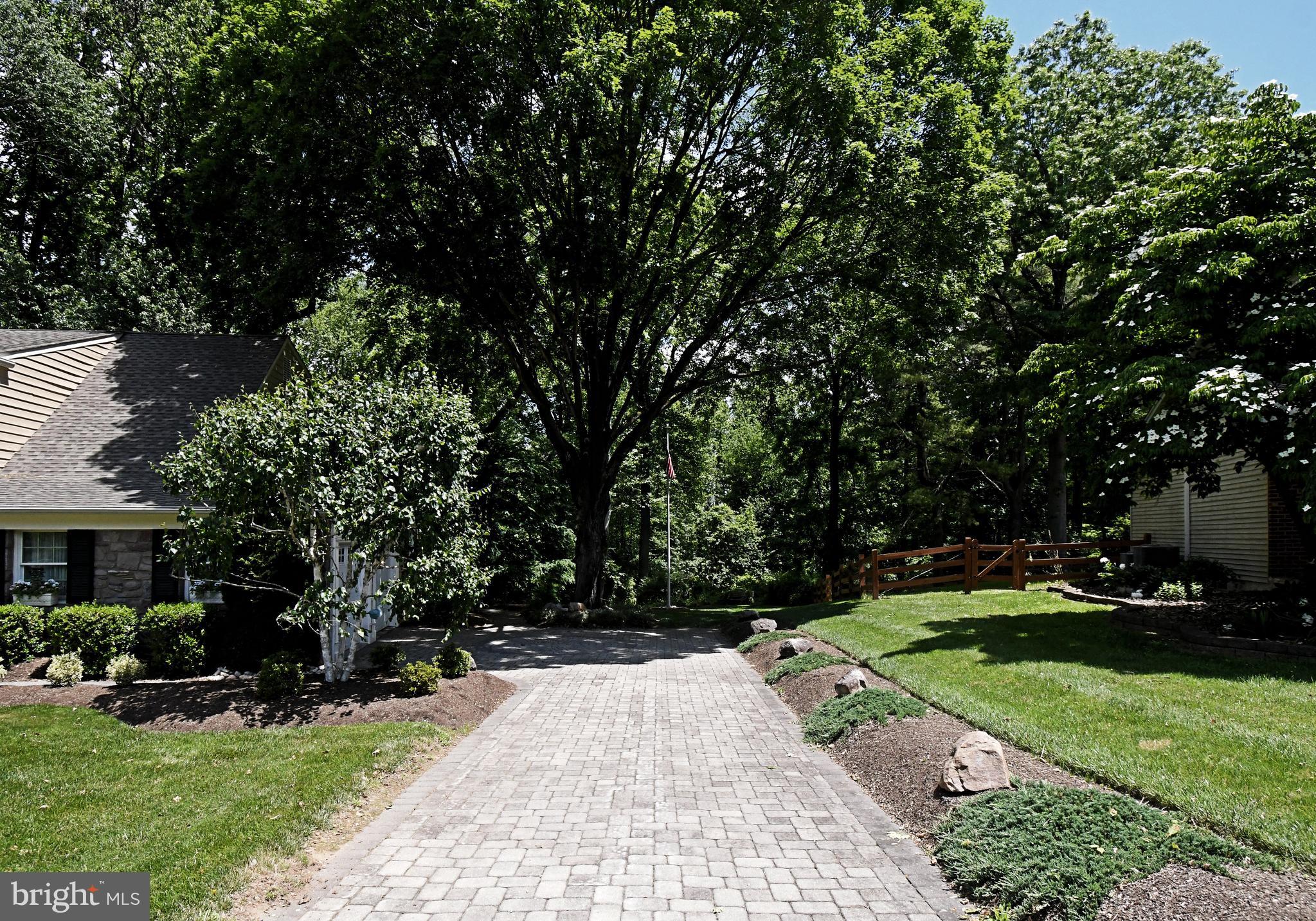 SANDY RUN - Residential