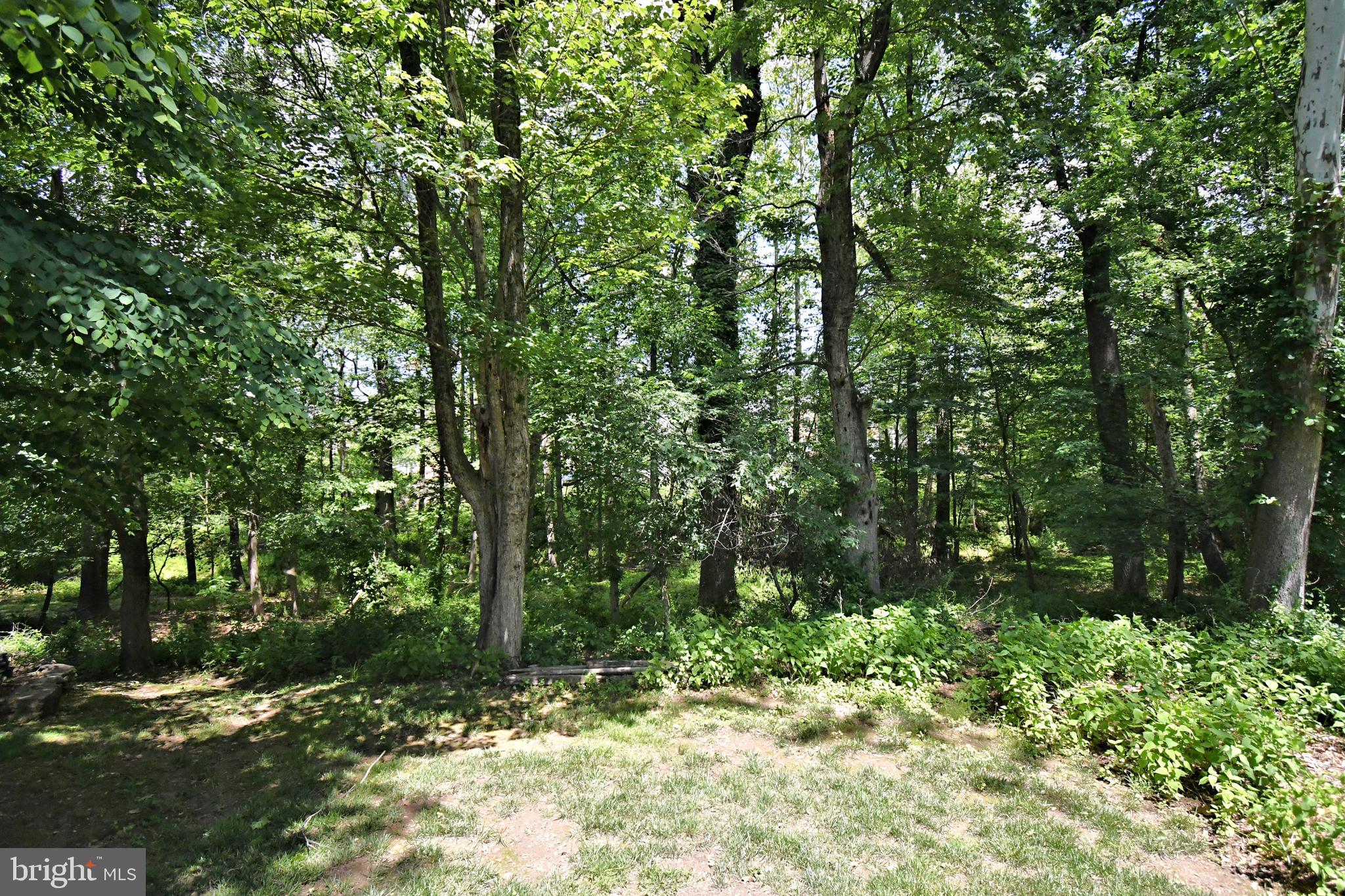 SANDY RUN - Residential