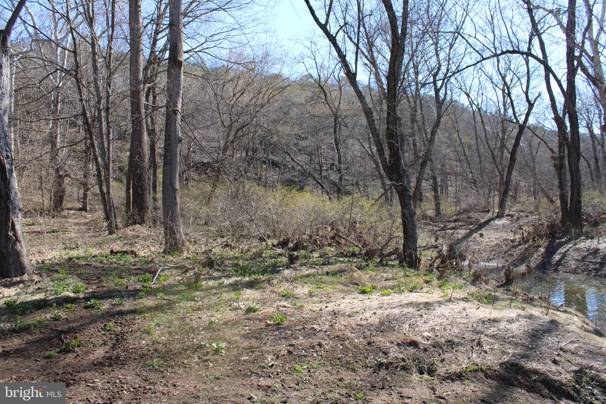 CACAPON HILLS - Land