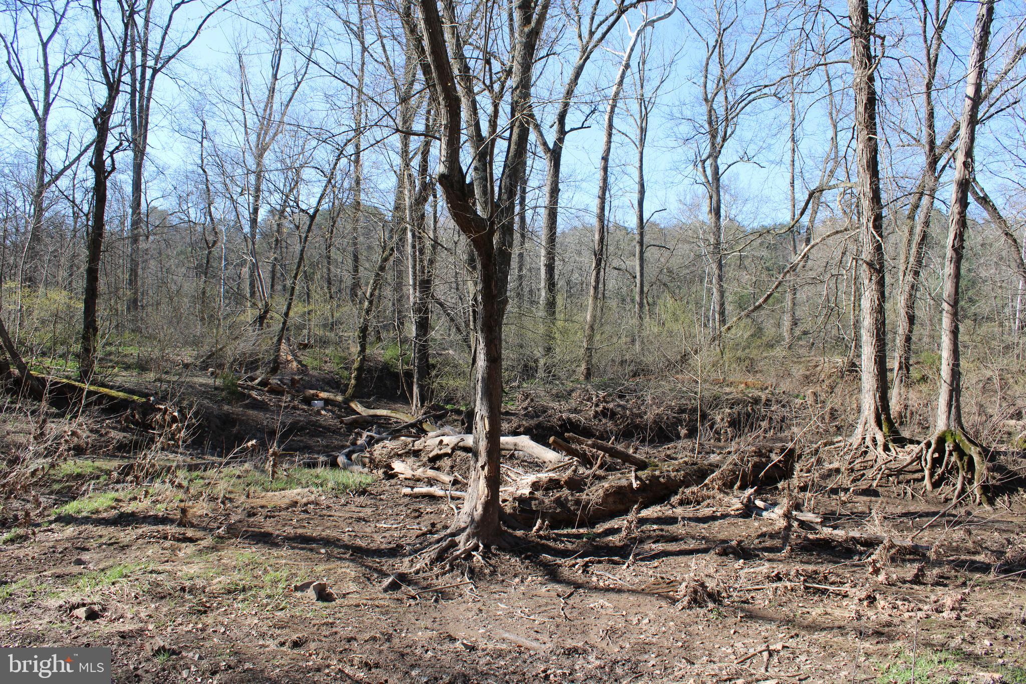 CACAPON HILLS - Land