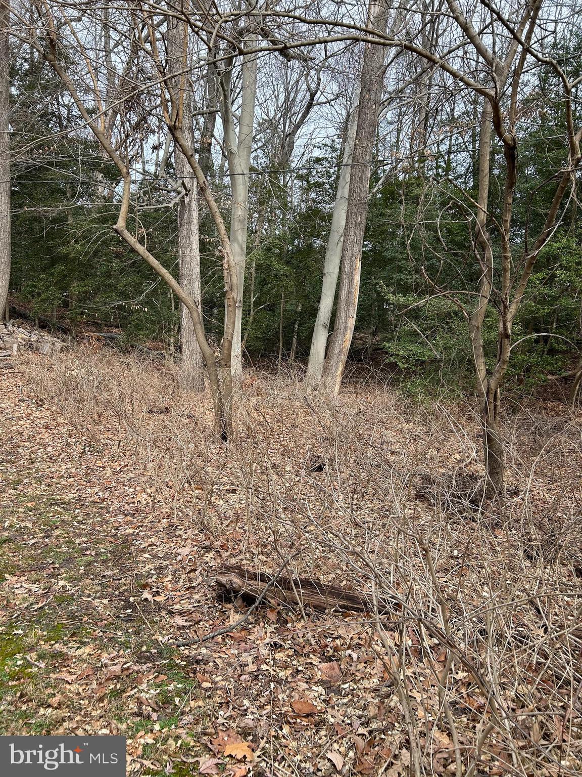 Herald Harbor was platted in the late 1920s/early 1930s. The community is surrounded by water on three sides. Lots 1 and 2, Block 36B on Elm Trail, are located on a dead-end street and adjoin three additional lots listed for sale under MDAA2112644. All lots are estimated, not guaranteed to be 25ft x 100ft.  Call Anne Arundel County Zoning and the Health Department to inquire about what these lots can be used for. The community is served by public water.
