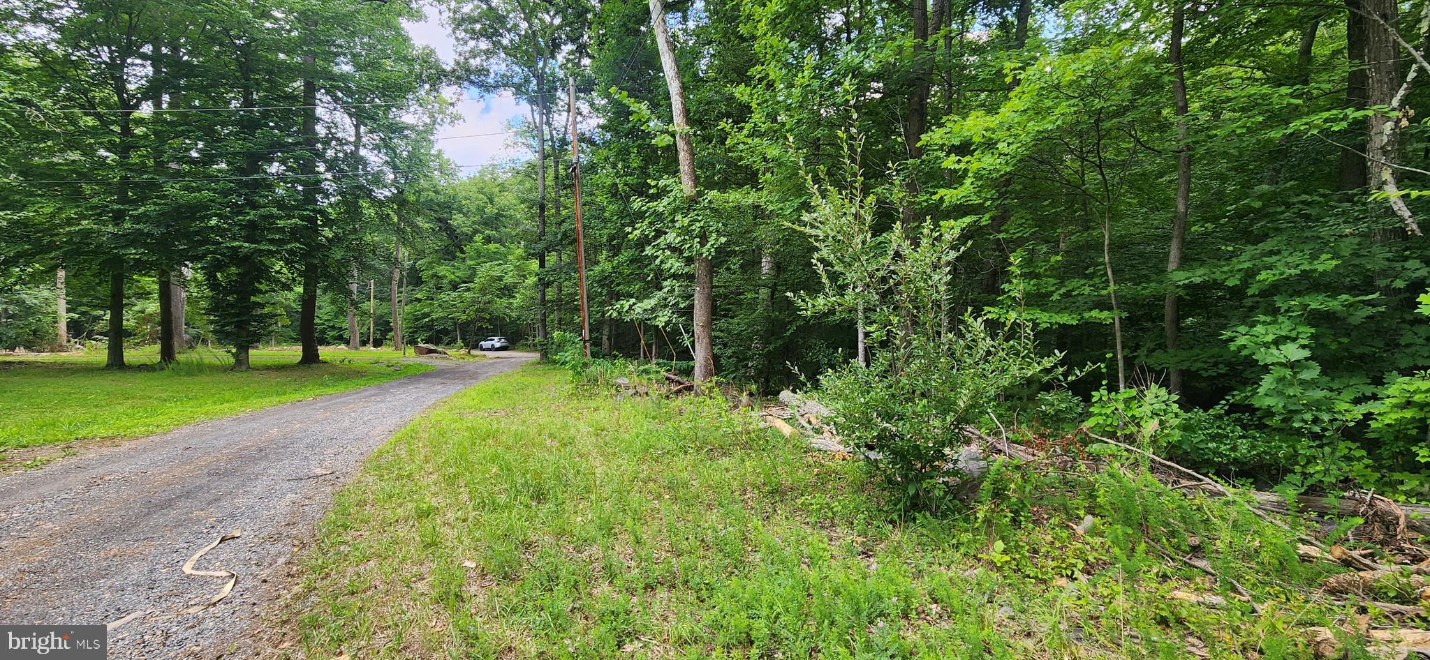 Lots 202 & 203 totaling 1.63 acres. There are orange pole markers to identify the lots location. This is the seller's estimate of the lots not an accurate property boundary marker. I recommend buyers do their due diligence. lots sit across the street from 111 Bobbie Ct.