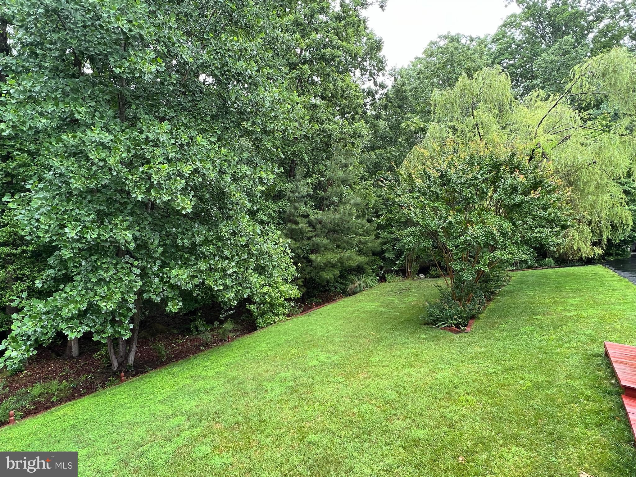 CHESTNUT HILLS - Residential