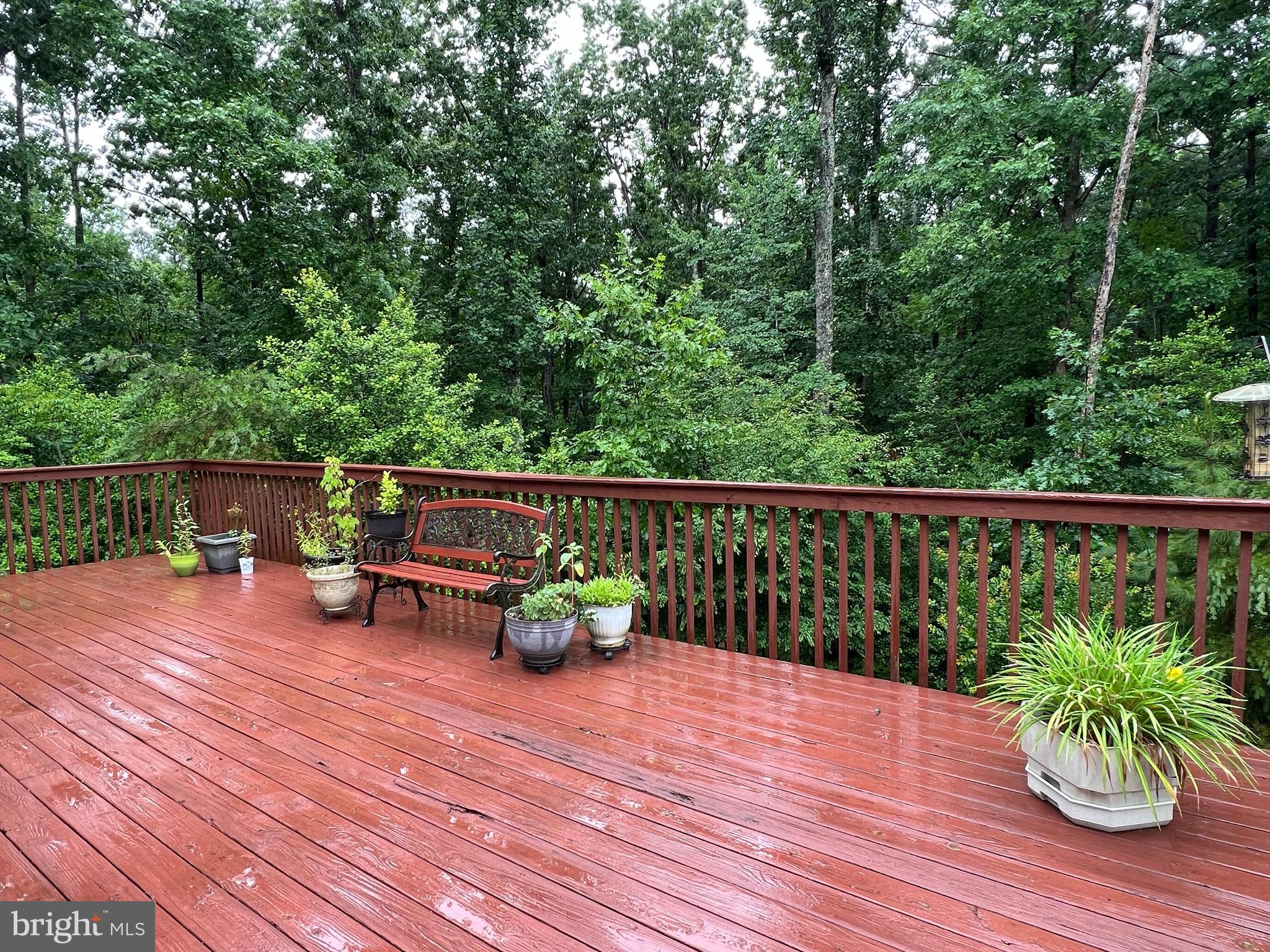 CHESTNUT HILLS - Residential