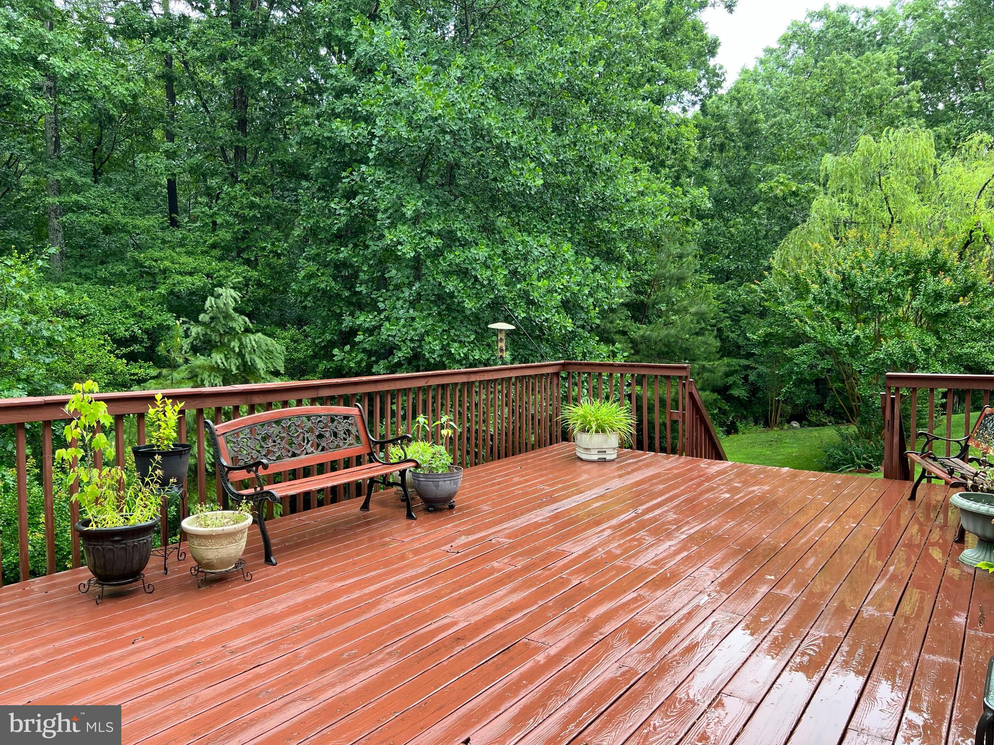 CHESTNUT HILLS - Residential