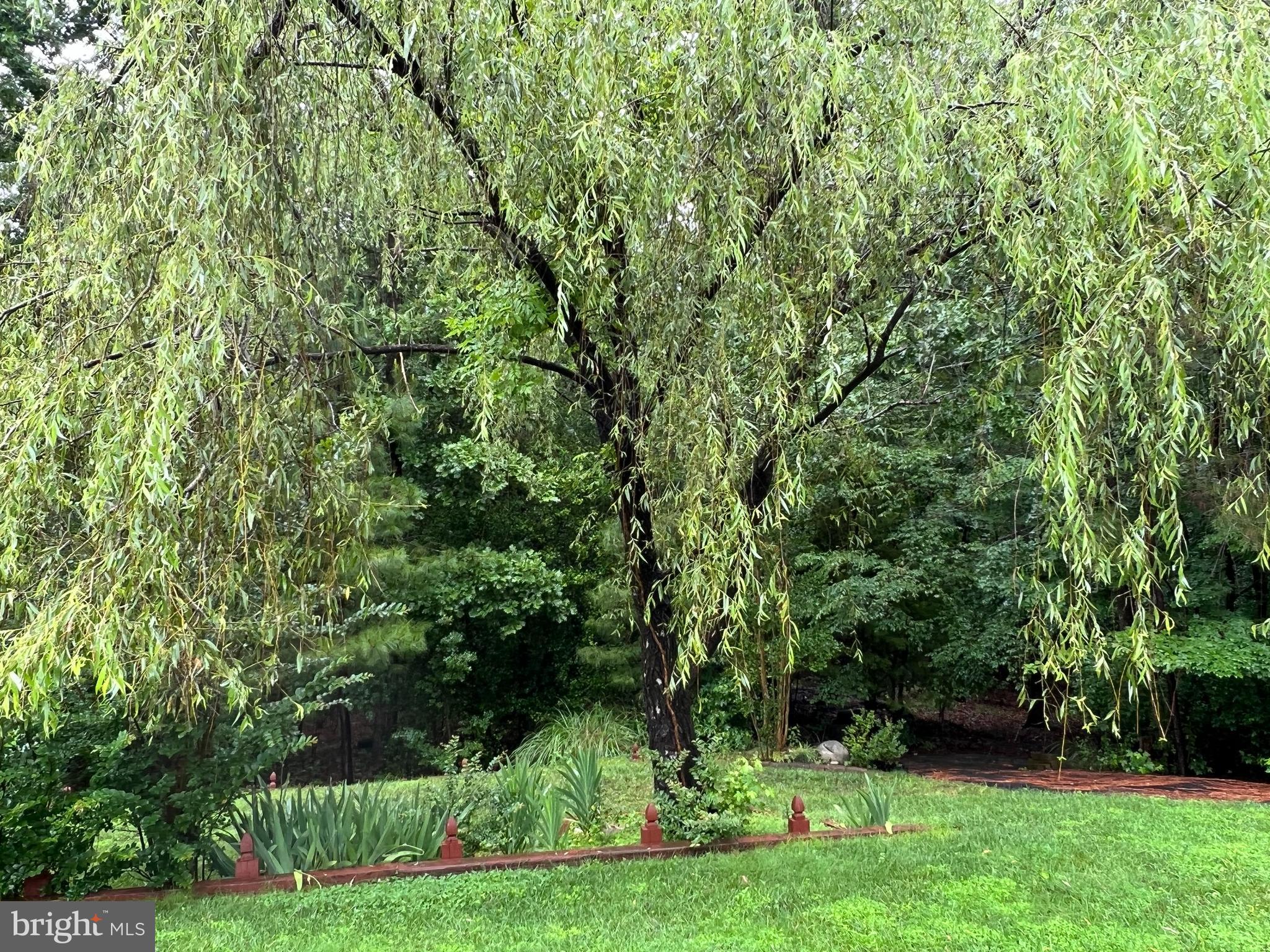 CHESTNUT HILLS - Residential