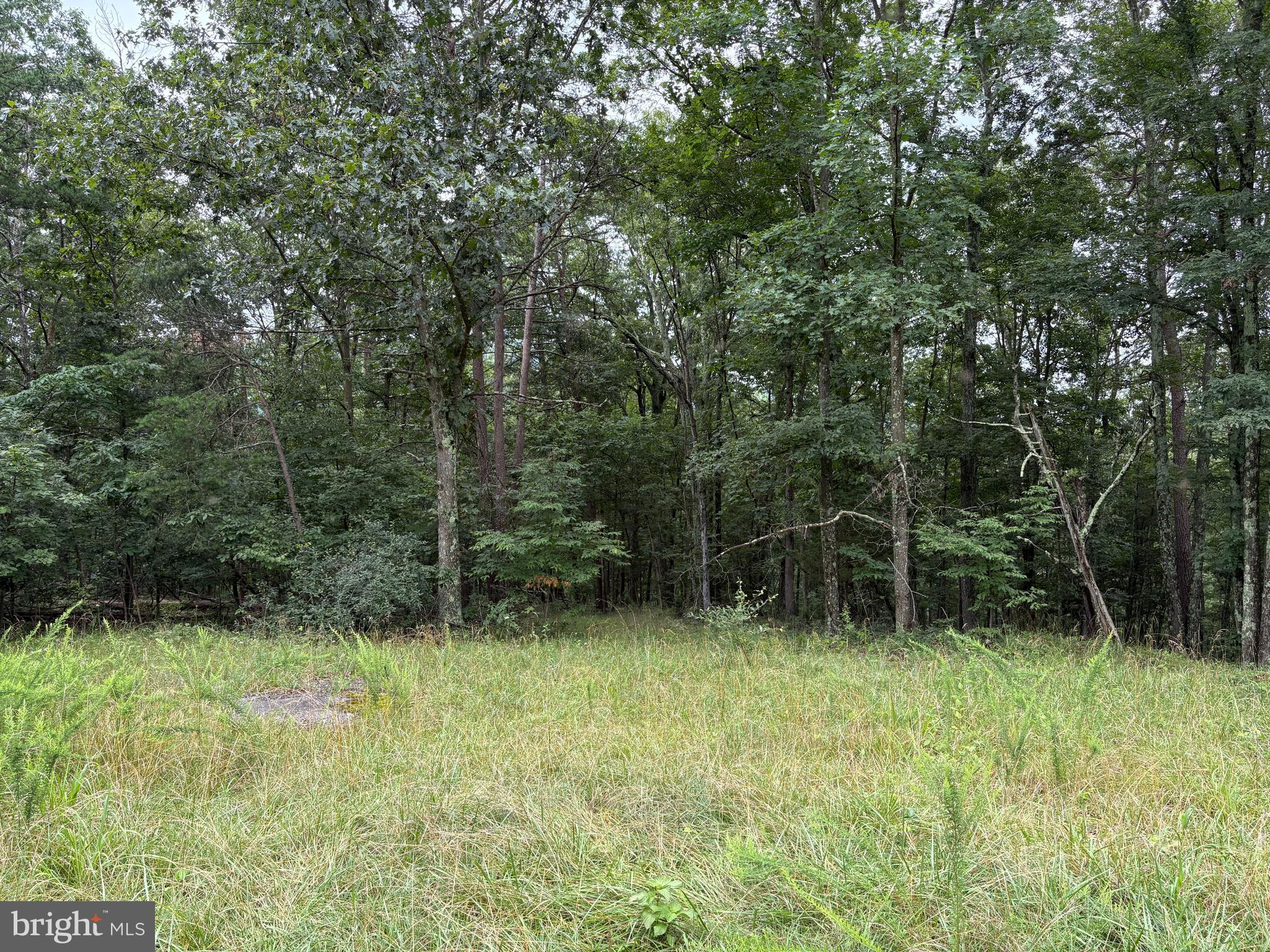If you’re after easy access, serious privacy, and land with real backbone—this is it. 9.31 acres of hardwood forest in Cedar Grove Estates, tucked between Slanesville and Bloomery in Hampshire County, WV. Just a few turns off County Route 127, you're on your own piece of ground in no time—30 minutes from Winchester, under two hours from D.C., but a world away from the grind. This tract is fully wooded with solid timber and a clean, gradual slope—ideal for building a full-time residence, a weekend retreat, or an off-grid escape with no limits. Electric is nearby. No steep climbs or rocky nonsense—just usable land, thick cover, and peace you can’t fake. There's a neighbor up by the entrance, but if you'd rather not see a soul, you’ve got the space and tree cover to make that happen. The land is strong, the price is right, and the opportunity is real. Make the call, stake your claim, and take control of your own ground—before someone else beats you to it.