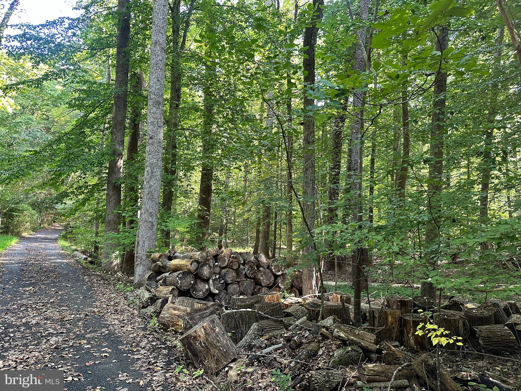 This property is being sold as LAND ONLY there is a home situated on the property.  There are utilities on the land, electric, septic, water is well.  Appointment is required with listing agent.  5.05 acres perked for a 5 bedroom home
