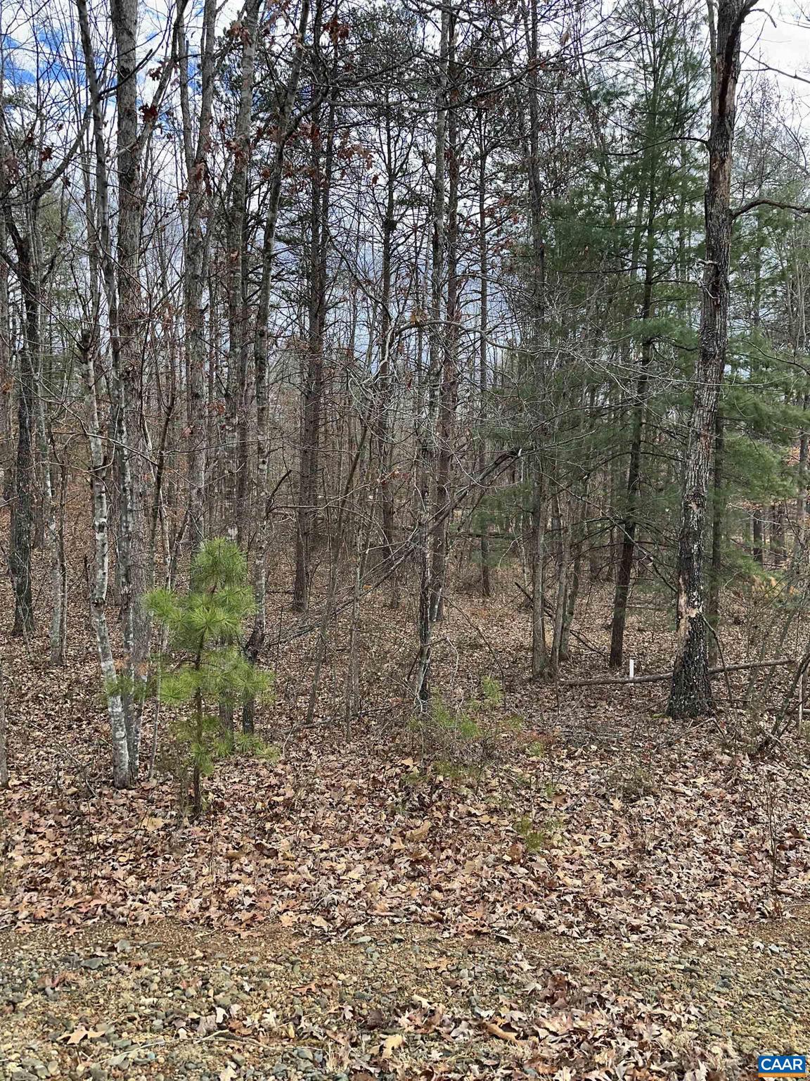 SHENANDOAH CROSSING - Land