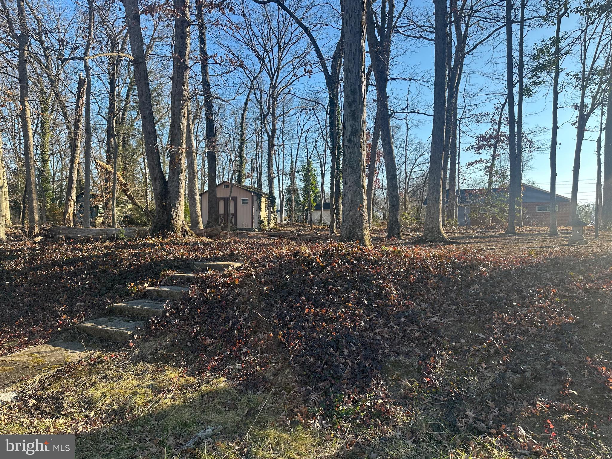 FORT WASHINGTON FOREST - Residential