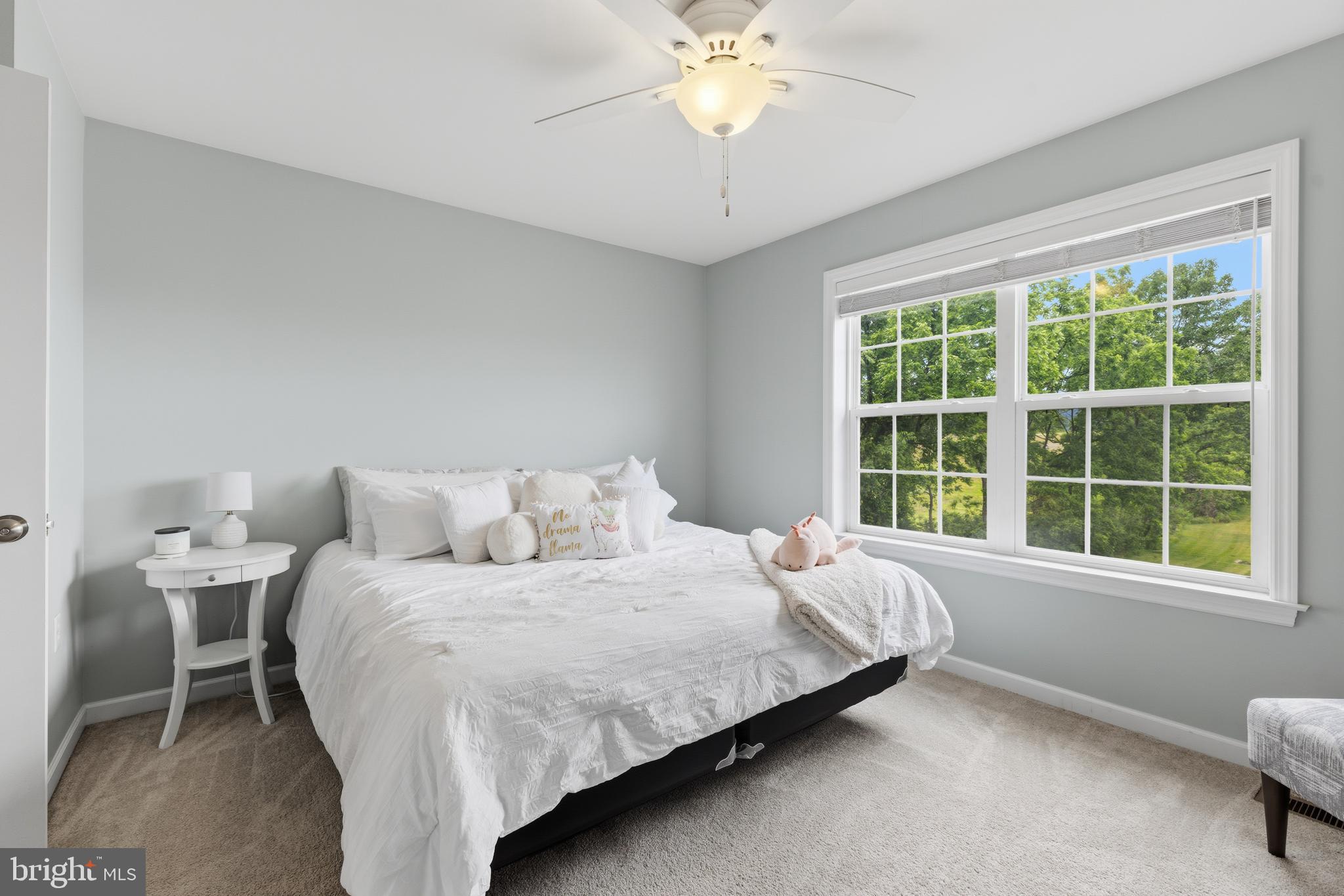 THE MEWS AT BURNHAM FARMS - Residential