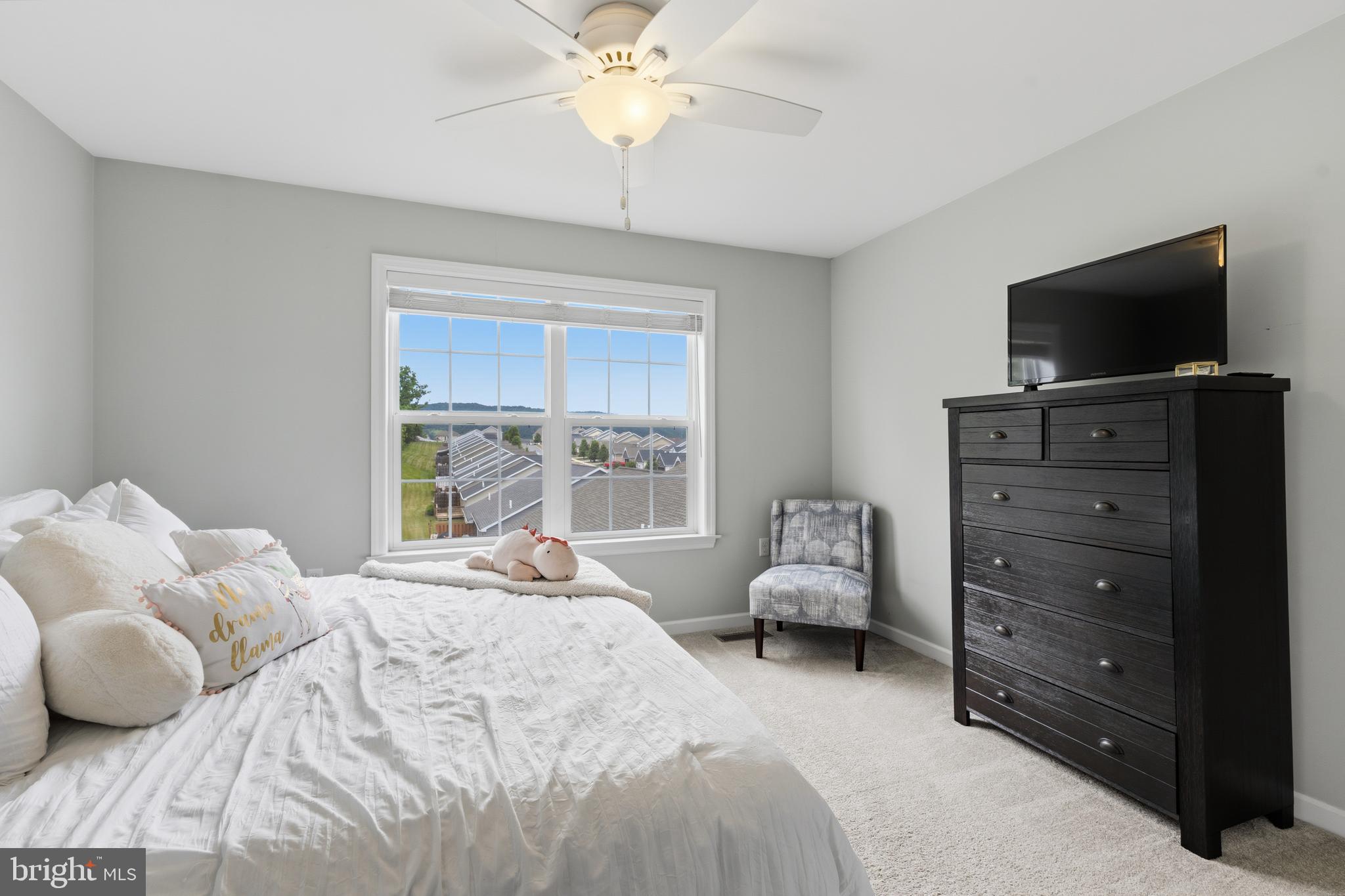 THE MEWS AT BURNHAM FARMS - Residential