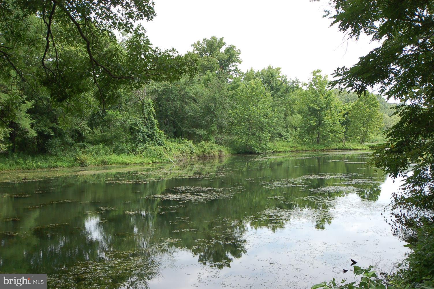 WATERS EDGE - Residential