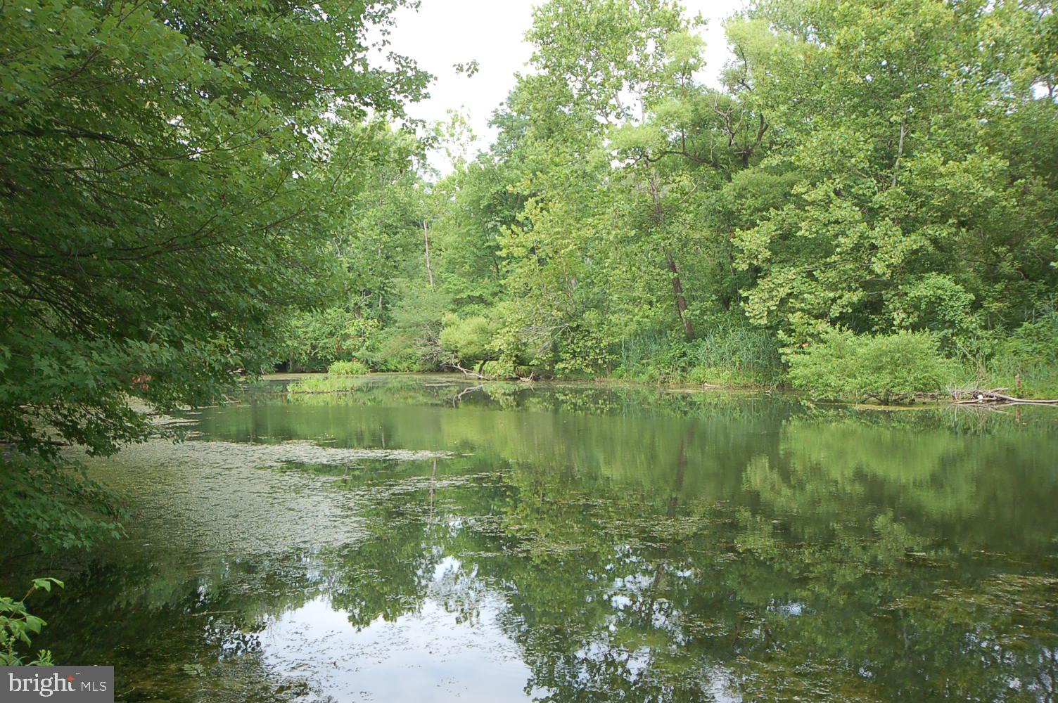 WATERS EDGE - Residential