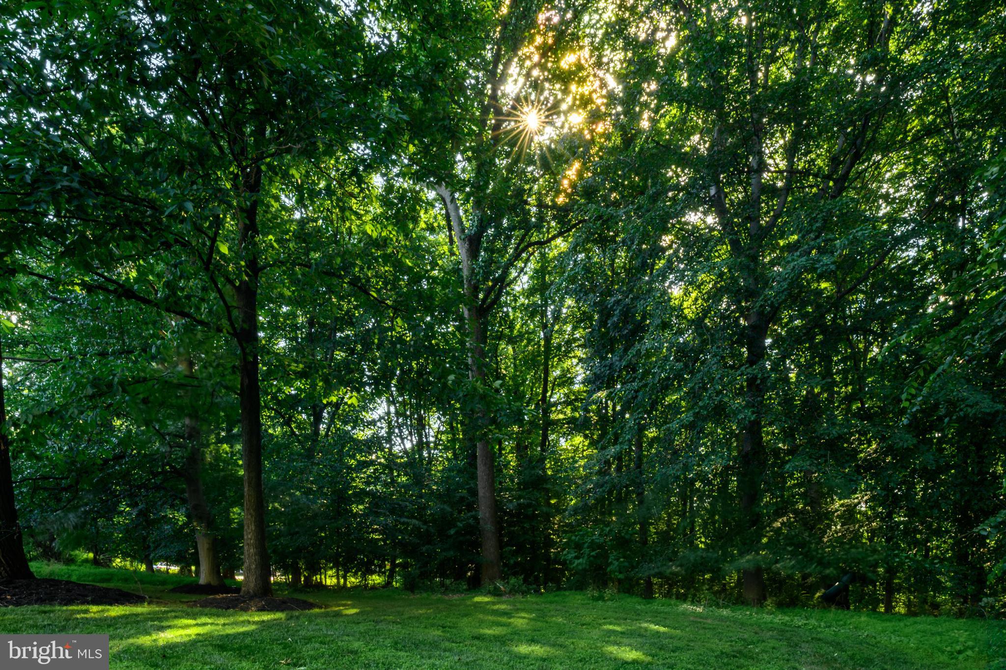 CLEARVIEW ESTATES - Residential