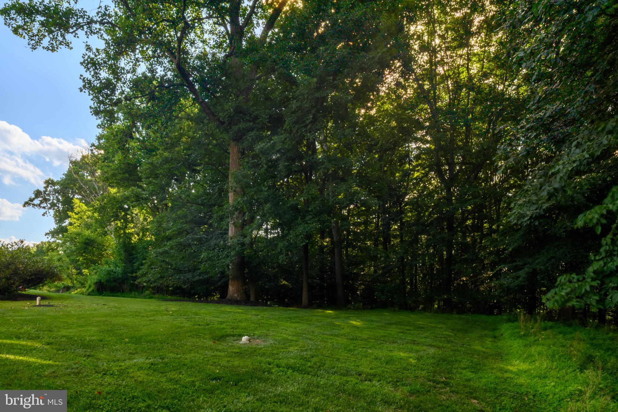 CLEARVIEW ESTATES - Residential